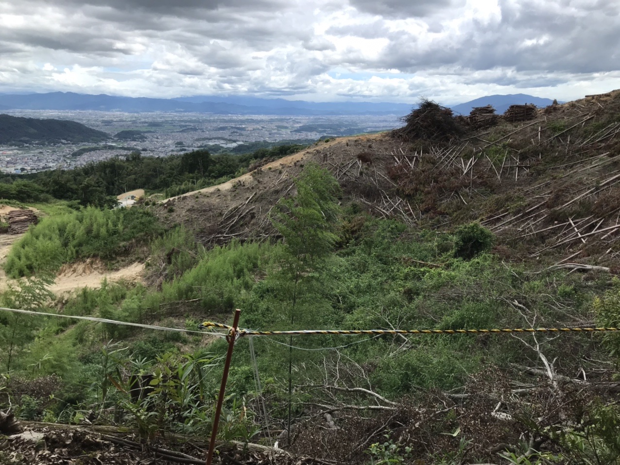 生駒山・神津嶽・大原山 この辺も伐採により、景色がたいそう良くなりました。金剛山も見えます。
