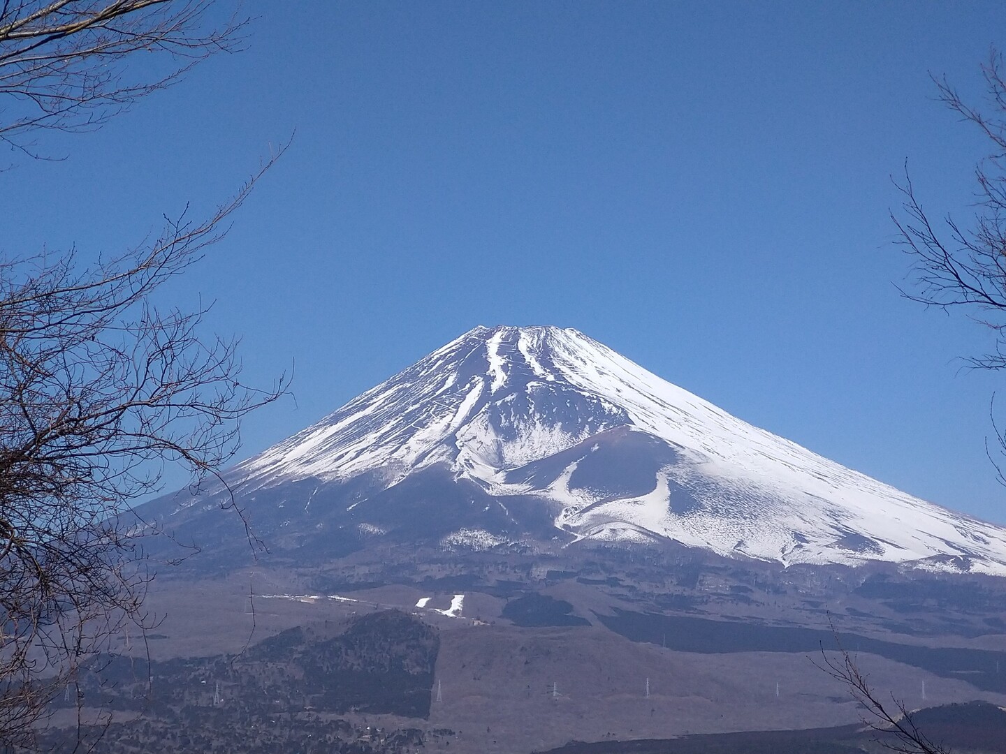 山肌露出富士山でした越前岳 / Tハシさんの愛鷹山・大岳・ …
