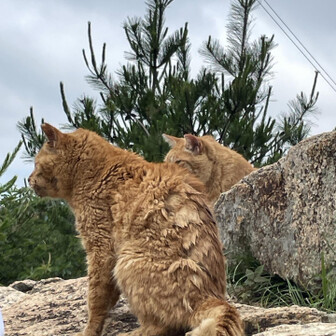癒されました🐾