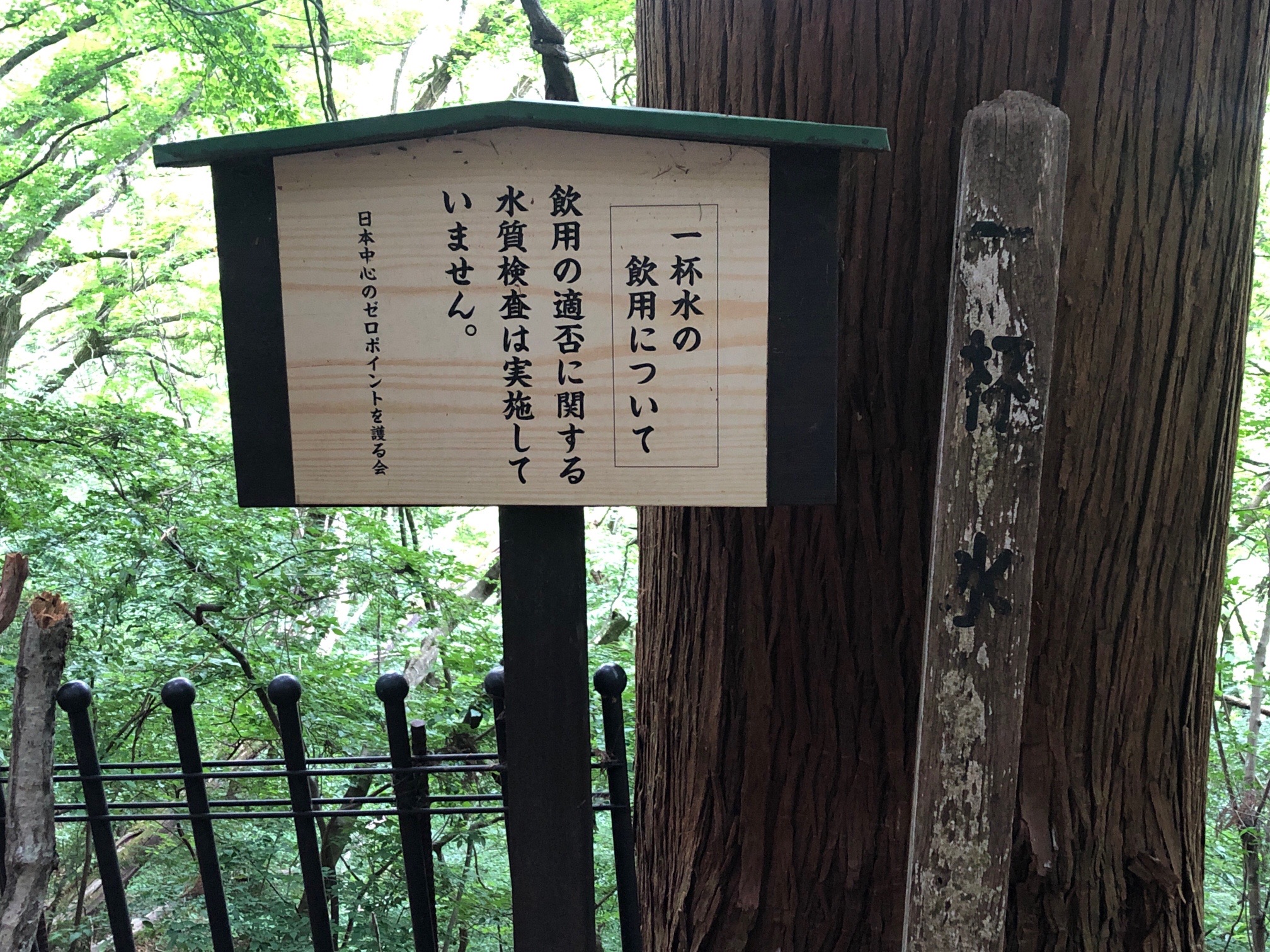 飲んで問題良い^_^でも、飲まない^_^