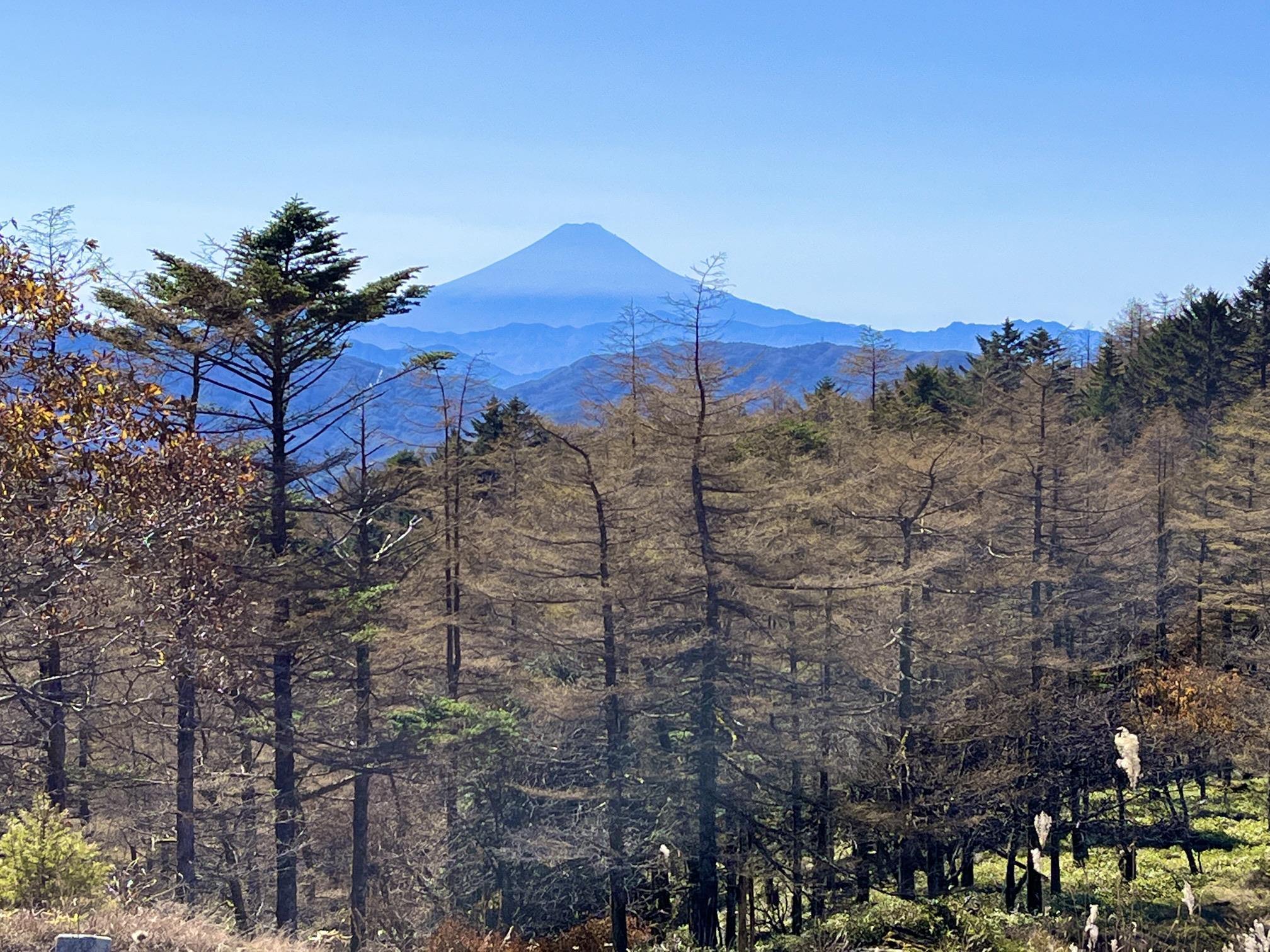 静かな秋の笠取山(奥秩父) / mitsujiさんの和名倉山・笠取山・東仙波の活動データ YAMAP / ヤマップ