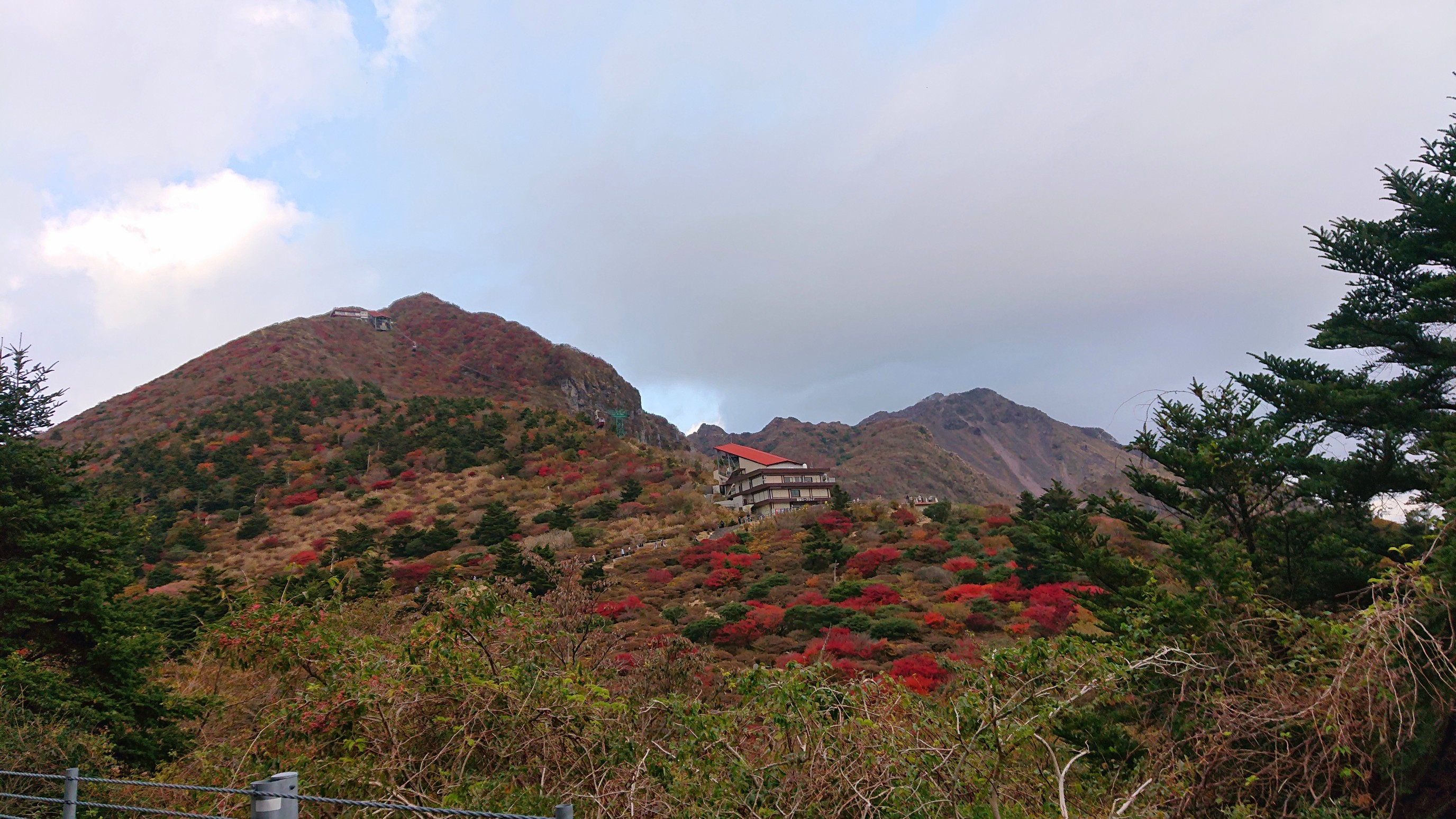 仁田峠紅葉はドライブで 11 01 猫好きさんのウォーキングの活動データ Yamap ヤマップ