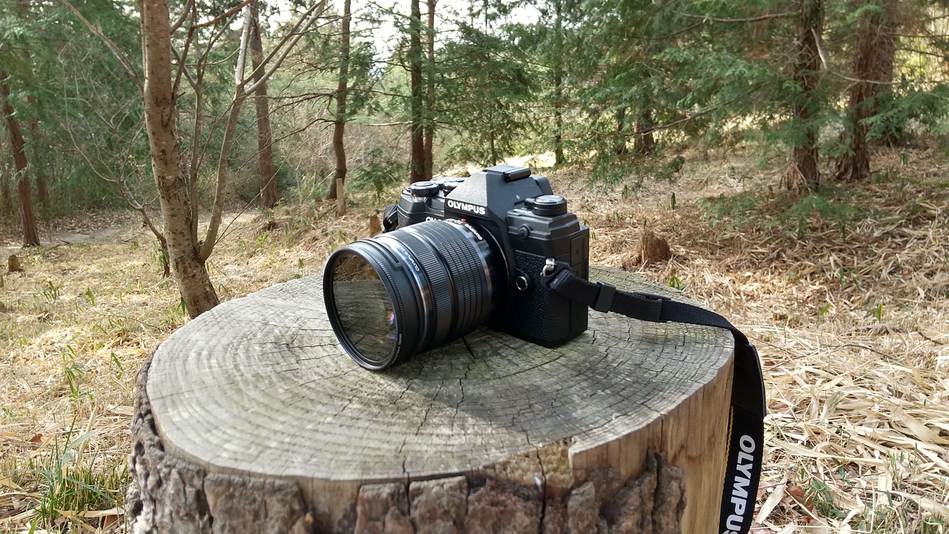 OM-D E-M5 Mark III 12-45mm F4.0 PROキット ポチっちゃった〜 / 二上 
