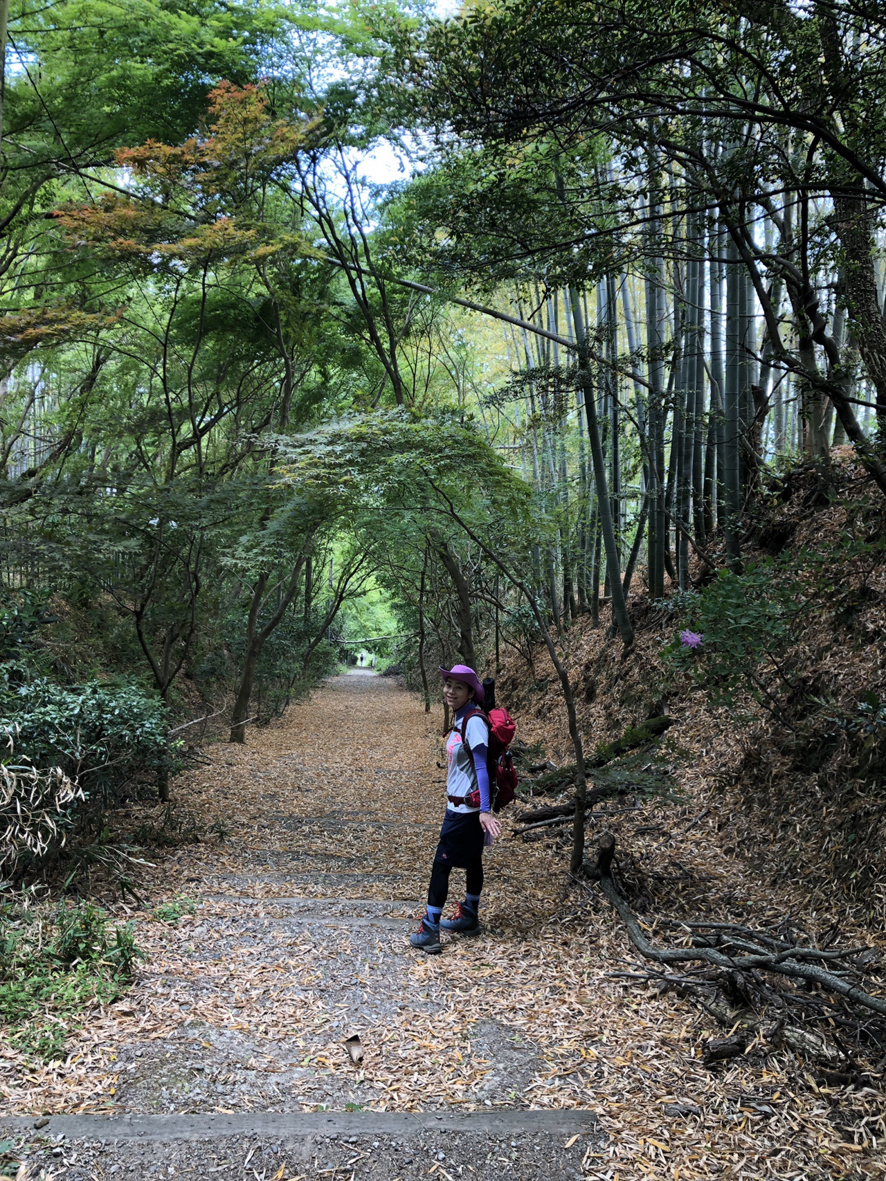 高安山から信貴山へ 19 05 19 ユウユウさんの生駒山 神津嶽 大原山の活動日記 Yamap ヤマップ