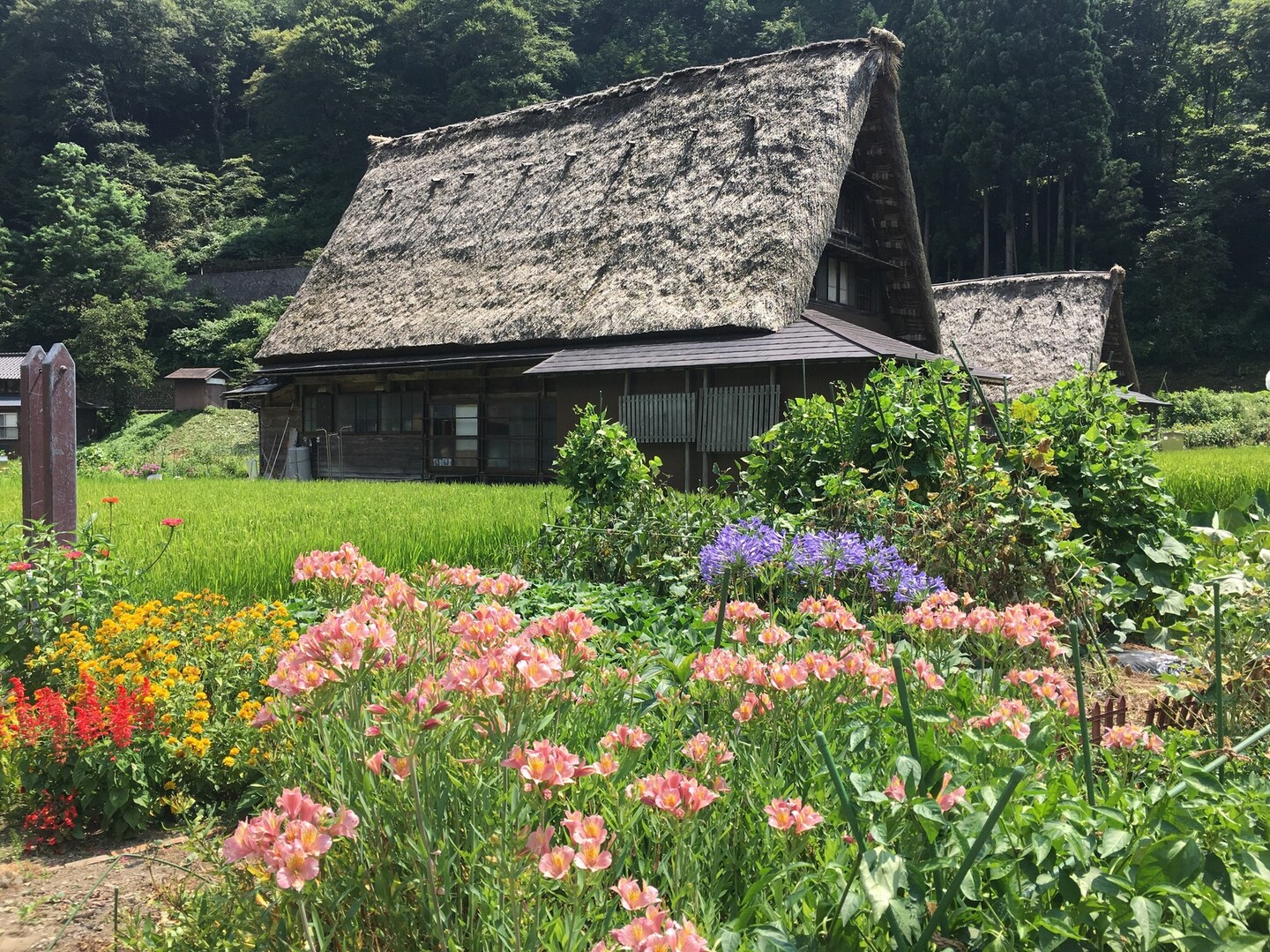 五箇山 菅沼合掌造り集落の散策と道の駅巡り うりやまさんの猿ヶ山 三方山 袴腰山の活動日記 Yamap ヤマップ