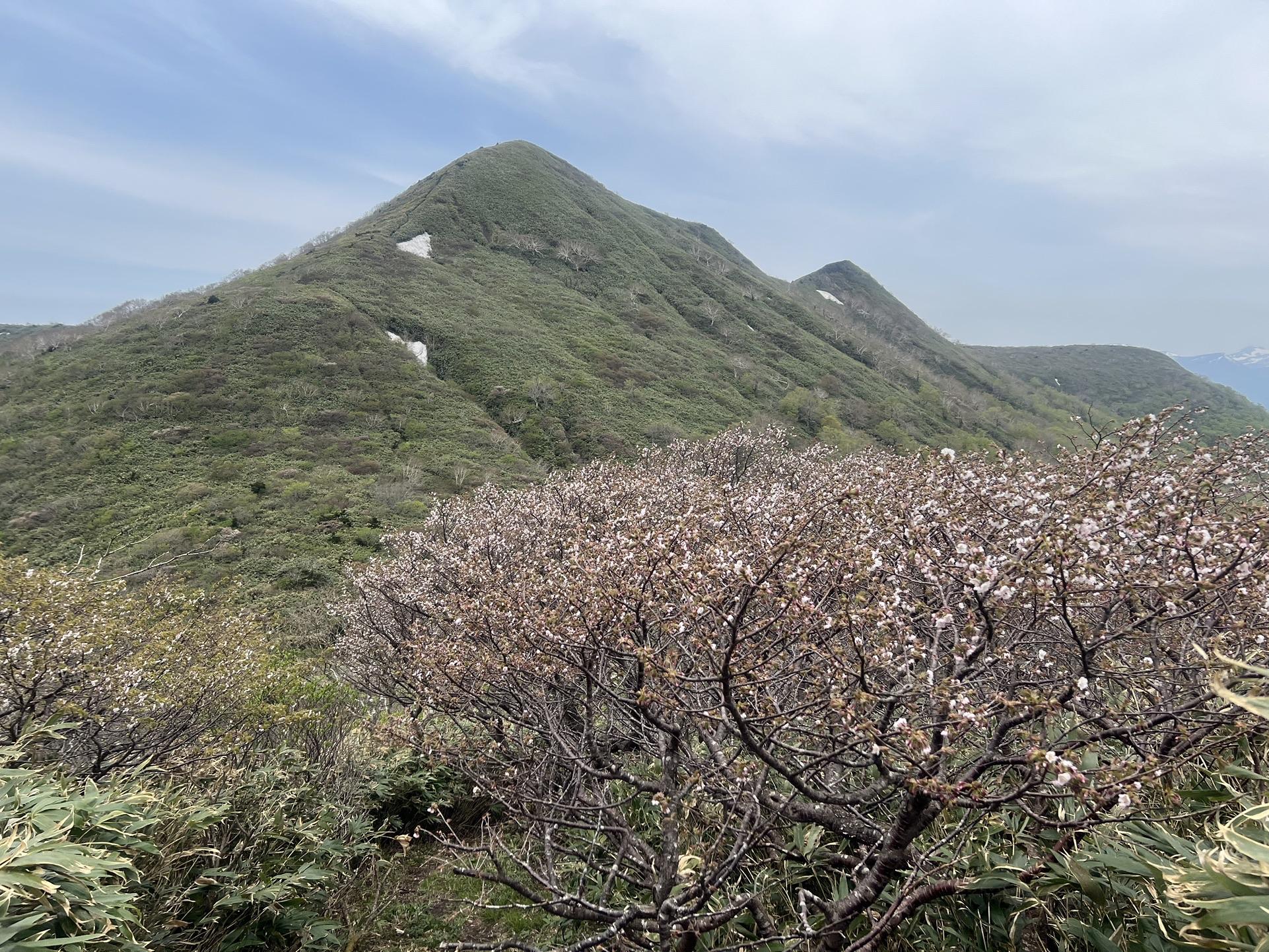 大駒ヶ岳・三ッ岳（戸来岳） / 青森の登山家さんの三ッ岳（戸来岳）・十和田山・十和利山の活動データ YAMAP / ヤマップ