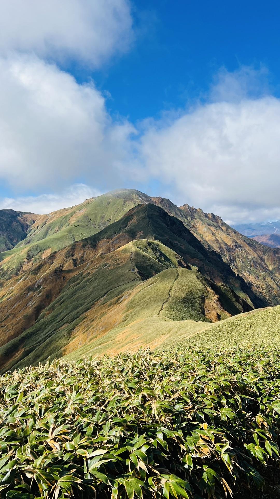 茂倉岳~万太郎山周回 / はぶきんぐさんの谷川岳・七ツ小屋山・大源太山の活動データ | YAMAP / ヤマップ