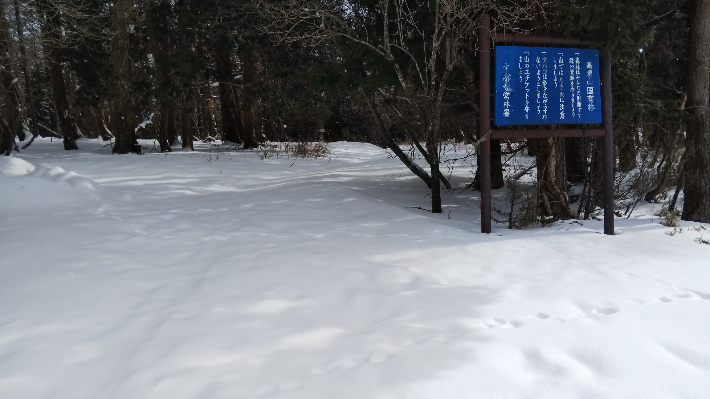 ここから先はノントレースです😆🎵🎵