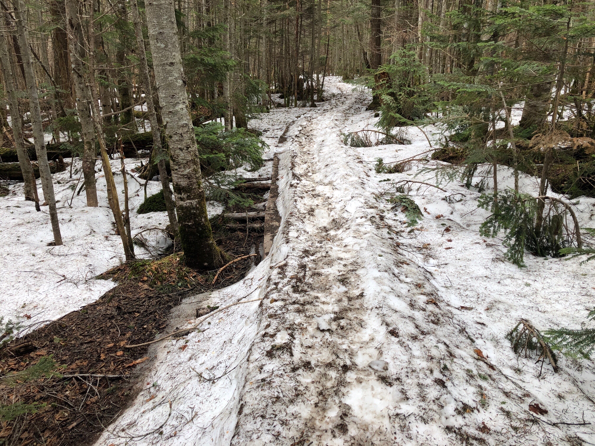 残雪多いし、アイゼン未装着で頑張りました