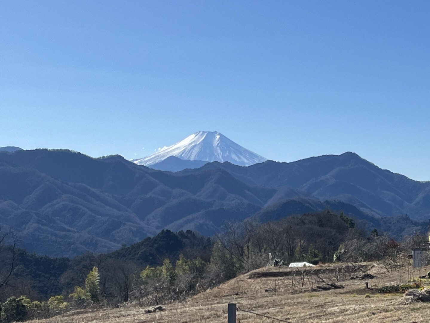 新年初登山は扇山 / なるちゃさんの百蔵山・扇山・権現山の活動データ | YAMAP / ヤマップ