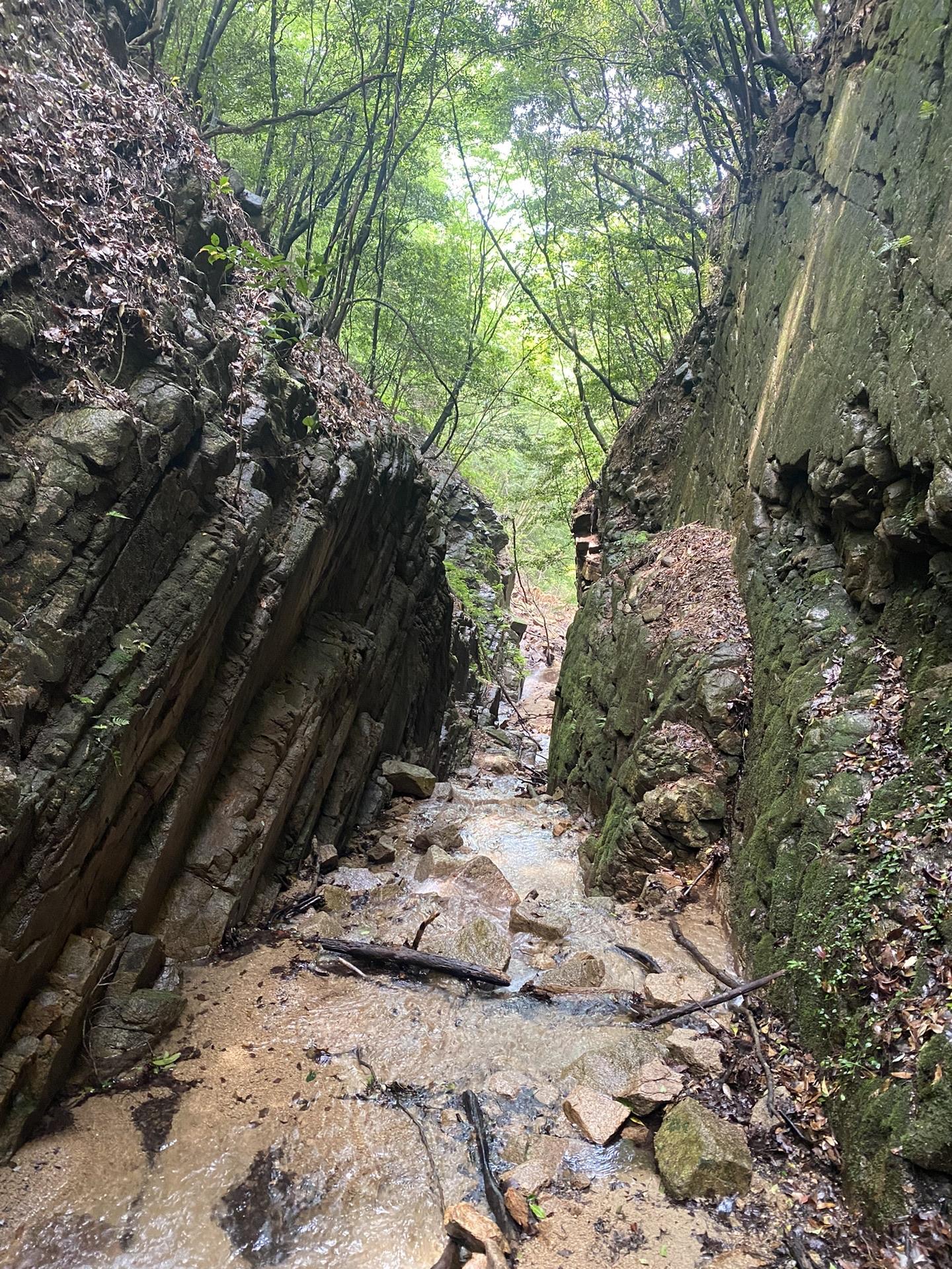 ＃山の本 生瀬駅-岩倉山-宝塚駅 縦走コースの地図・登山ルート・登山口