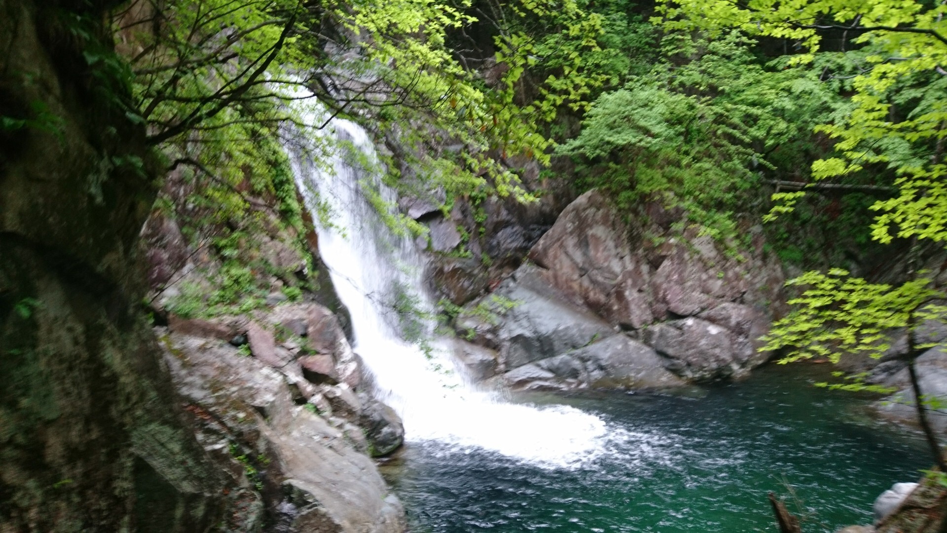 手焼沢左俣左沢 手焼沢右岸尾根 細鈴沢左俣右沢 林道 細鈴沢右俣左岸尾根 きたっちさんの夕日岳 薬師岳の活動データ Yamap ヤマップ