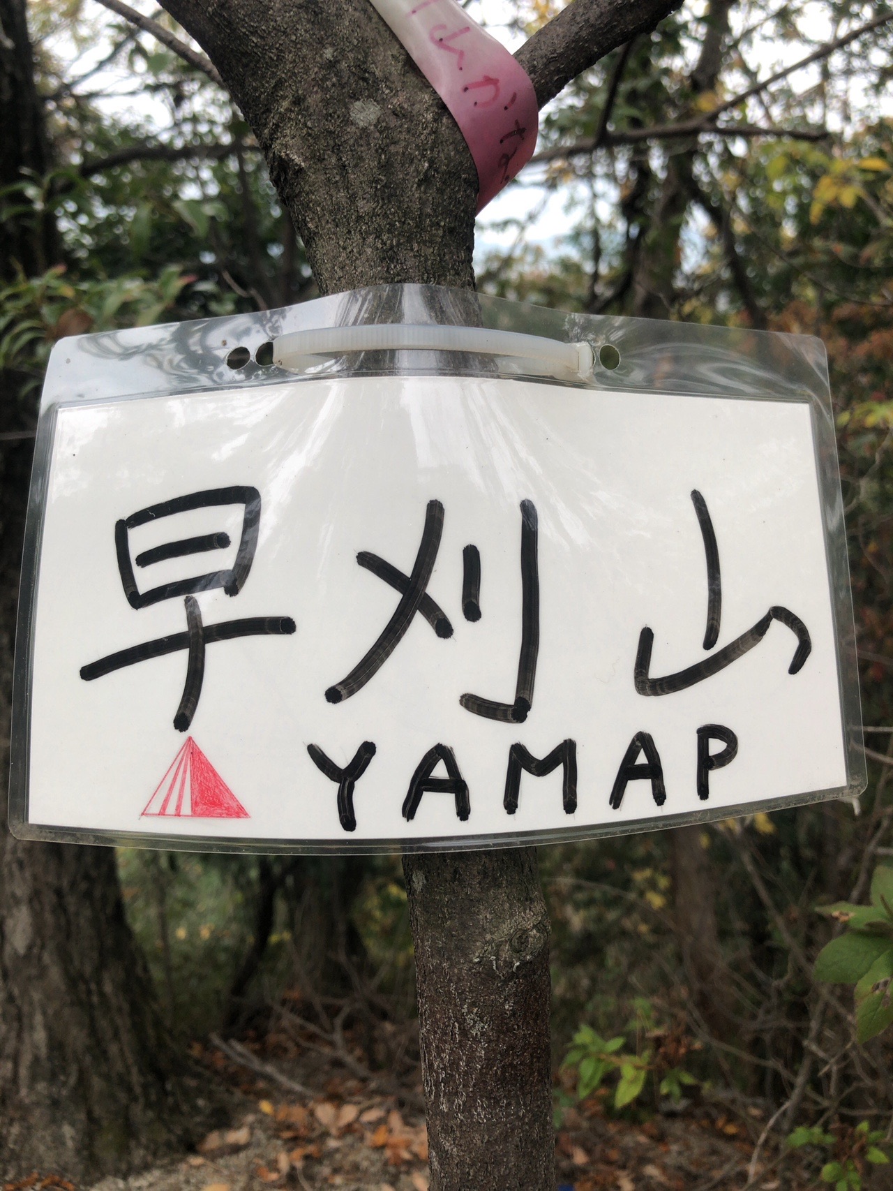 星田60名山 全山数珠繋ぎ メメさんの交野山 国見山の活動データ Yamap ヤマップ
