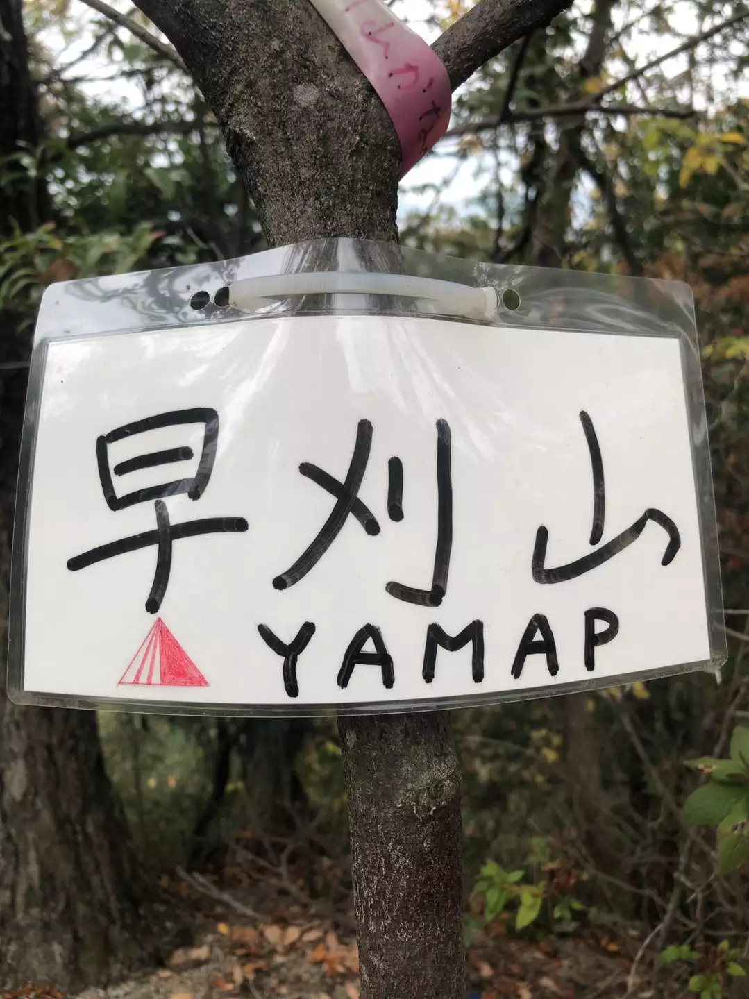 星田60名山 全山数珠繋ぎ メメさんの交野山 国見山の活動データ Yamap ヤマップ