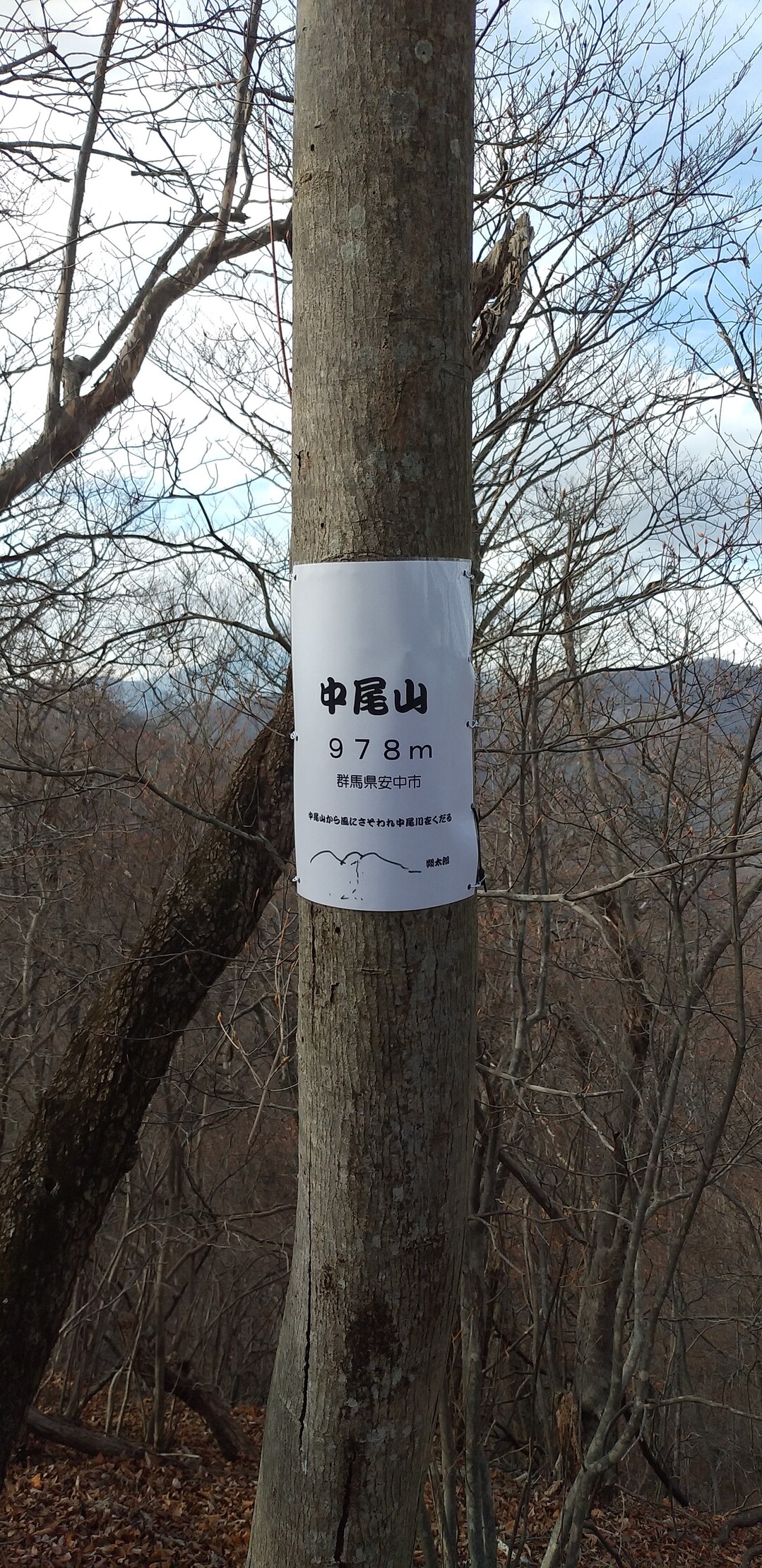 中尾山〔新中尾山〕 / きゃべさんの山急山の活動データ YAMAP / ヤマップ