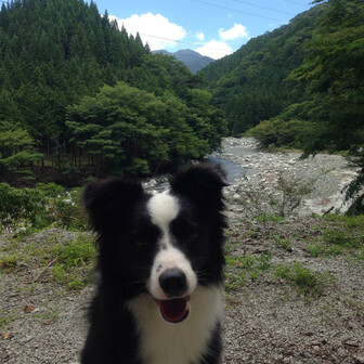 愛犬登山好き仲間で話しましょう Yamap の山コミュニティ Yamap ヤマップ