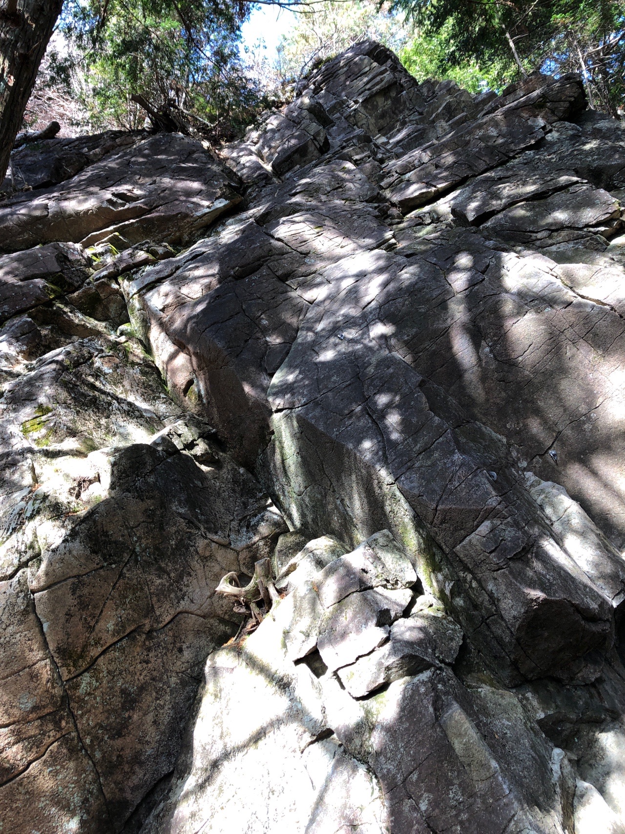 笠置山 クライミング練習 Jさんの笠置山 岐阜県 の活動データ Yamap ヤマップ