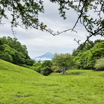丸川峠から富士山