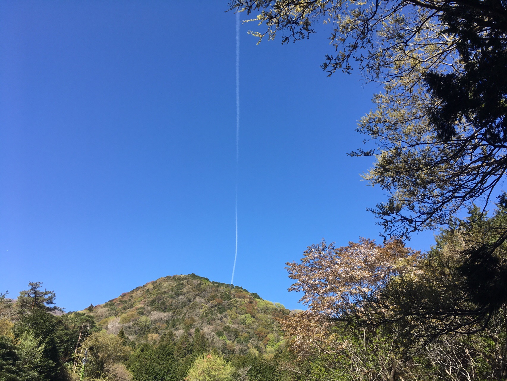 化石を探して下山が遅れた藤原岳 ちゃんたろうさんの藤原岳 御池岳の活動データ Yamap ヤマップ