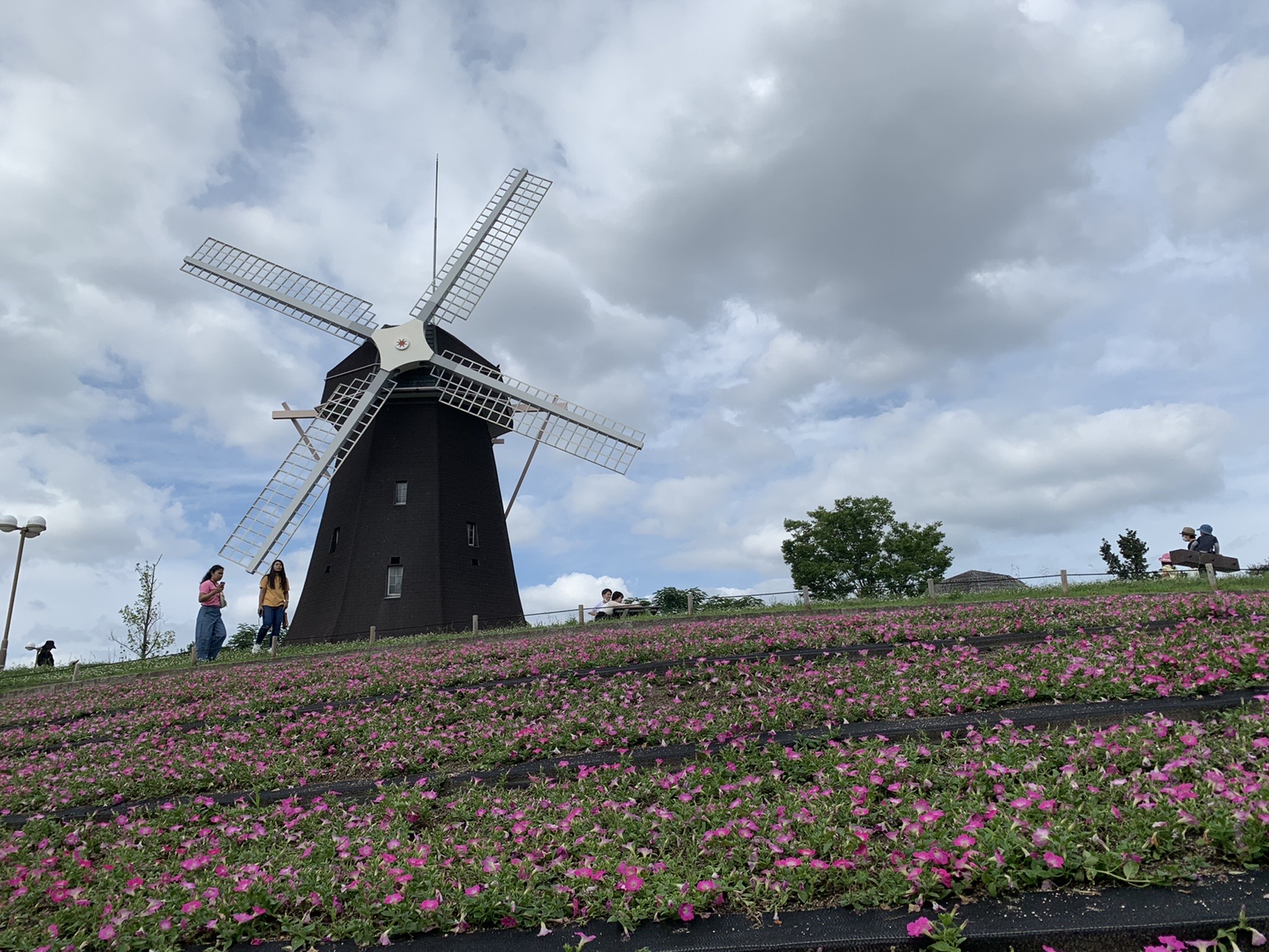 鶴見新山 アッキー78さんの京街道 守口宿 高麗橋 の活動データ Yamap ヤマップ