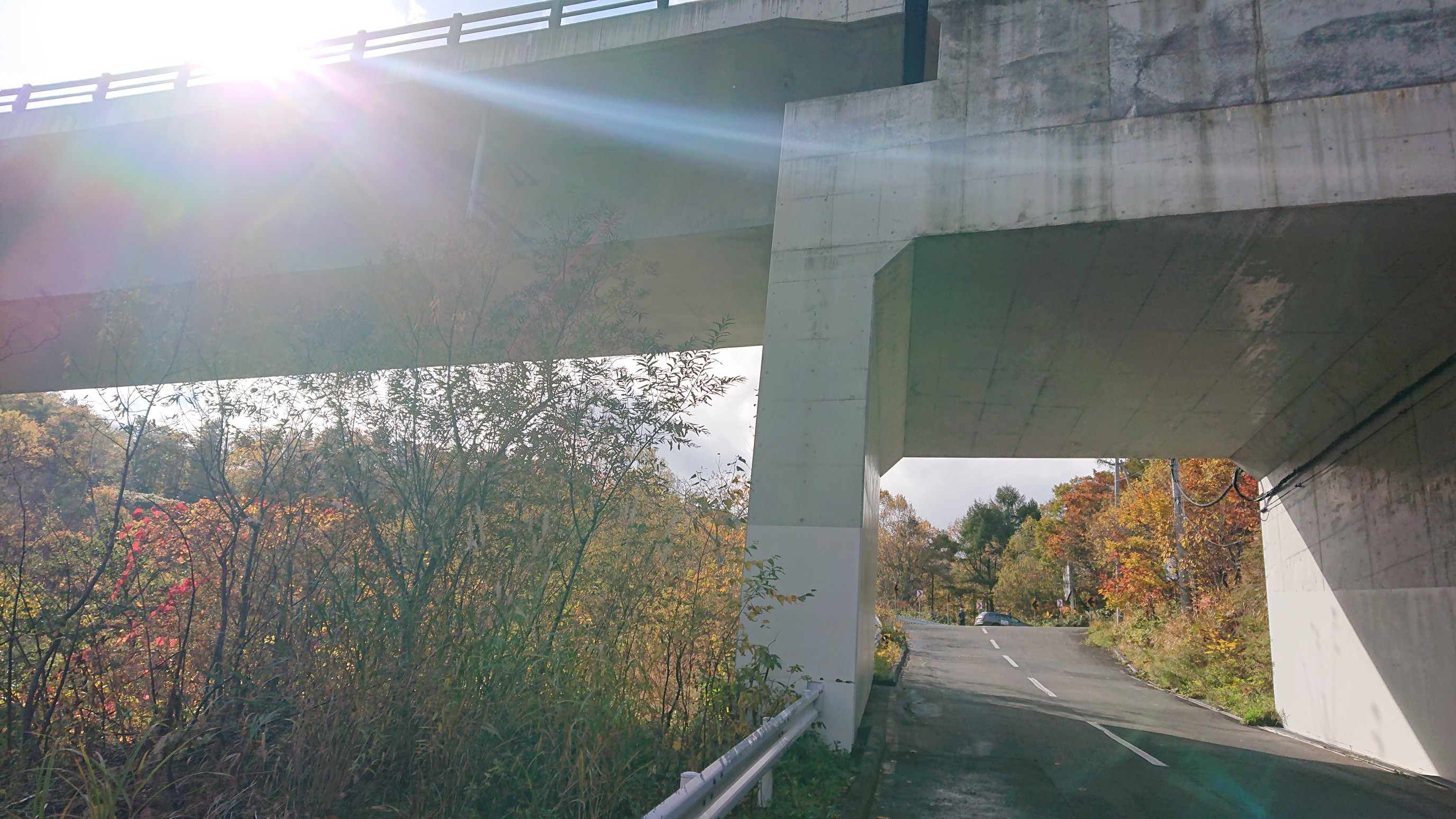 一日遅れの手稲山の日 Fujisunさんの札幌市の活動データ Yamap ヤマップ