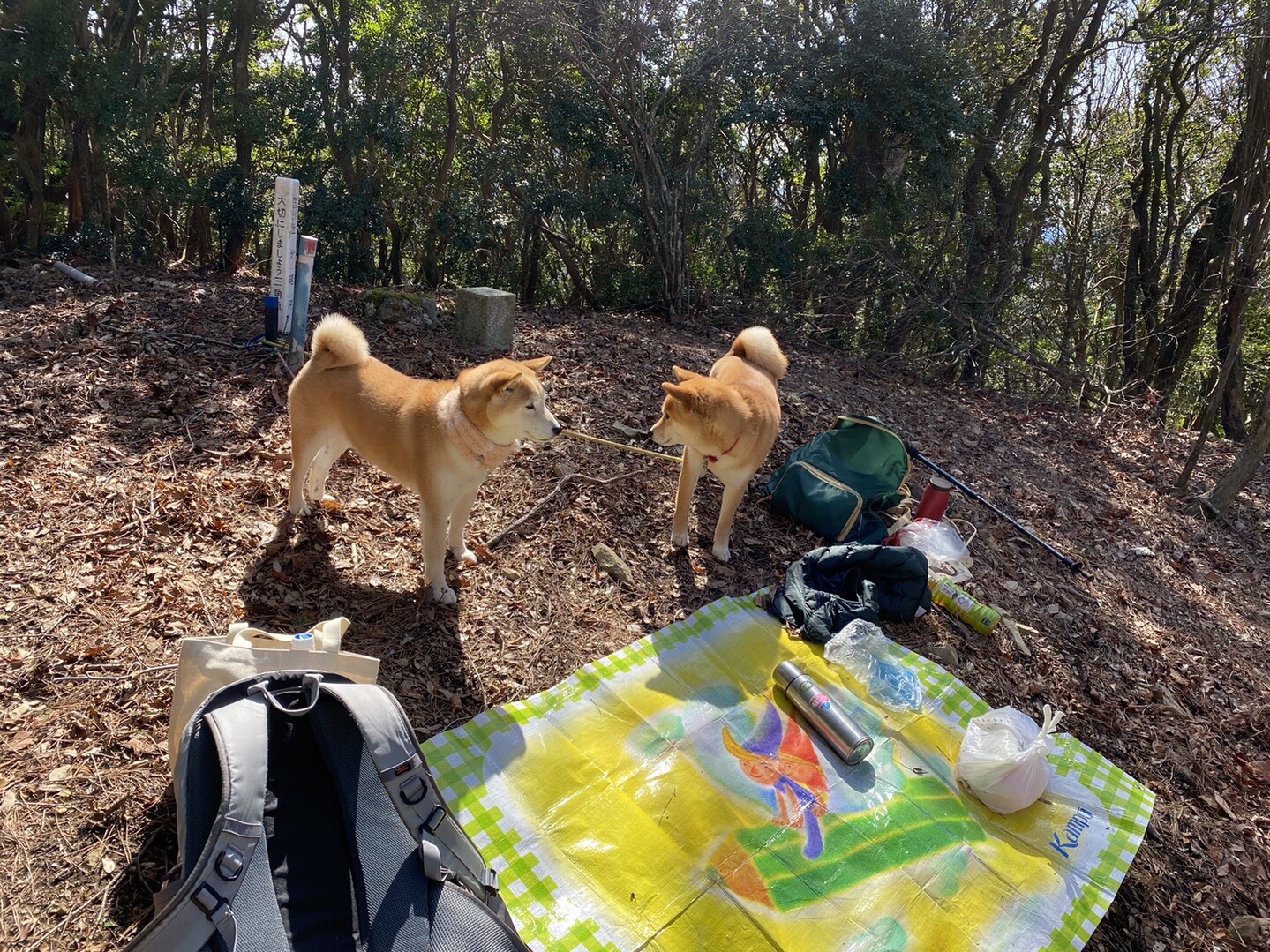 大鳴海山 02 24 てんてんさんの有田川の活動データ Yamap ヤマップ
