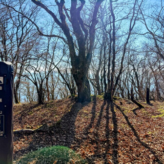 最後の登り坂を制覇！