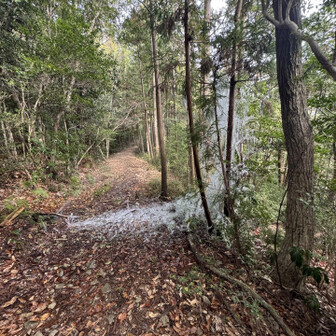 冷水山・百前森山・果無山 突然凍ってるところが　水が吹き出している！