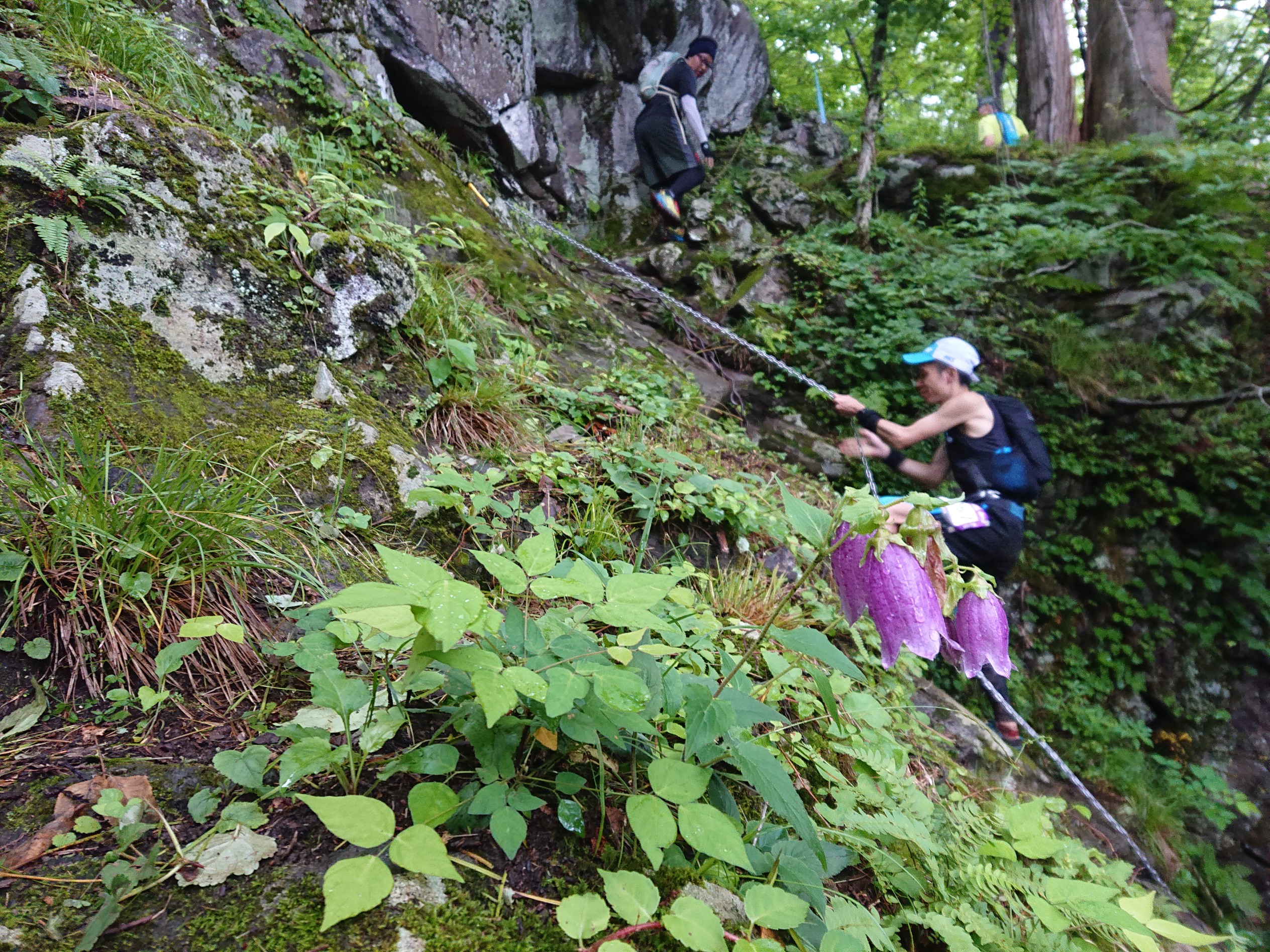 The 4100d マウンテントレイルin野沢温泉 19 Zillさんの野沢温泉スキー場の活動データ Yamap ヤマップ