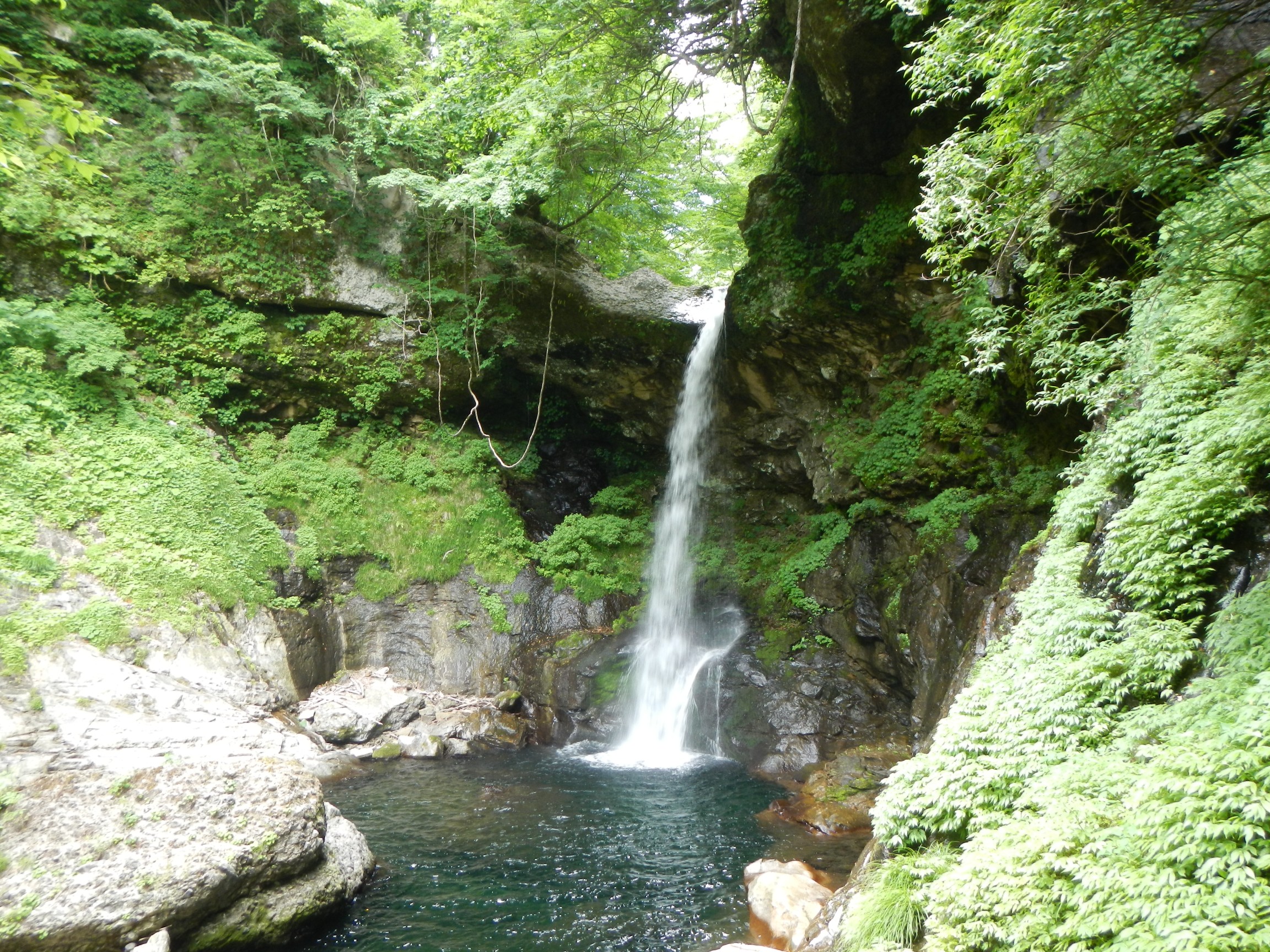秋保 滝廻り 06 21 Yoshiki さんの面白山 神室岳 大東岳 雨呼山の活動データ Yamap ヤマップ