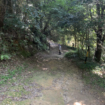 梅田峠の分岐
嵩山または梅田親水公園駐車場方面
