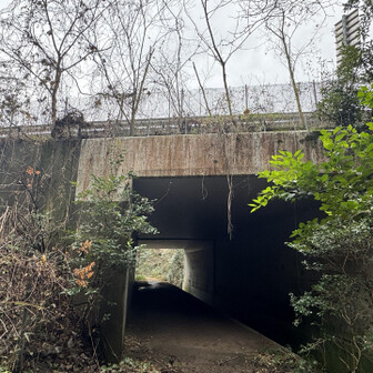 紀泉アルプス・飯盛山・ボンデン山 阪和道の下を通ります…ちょっと怖い💦