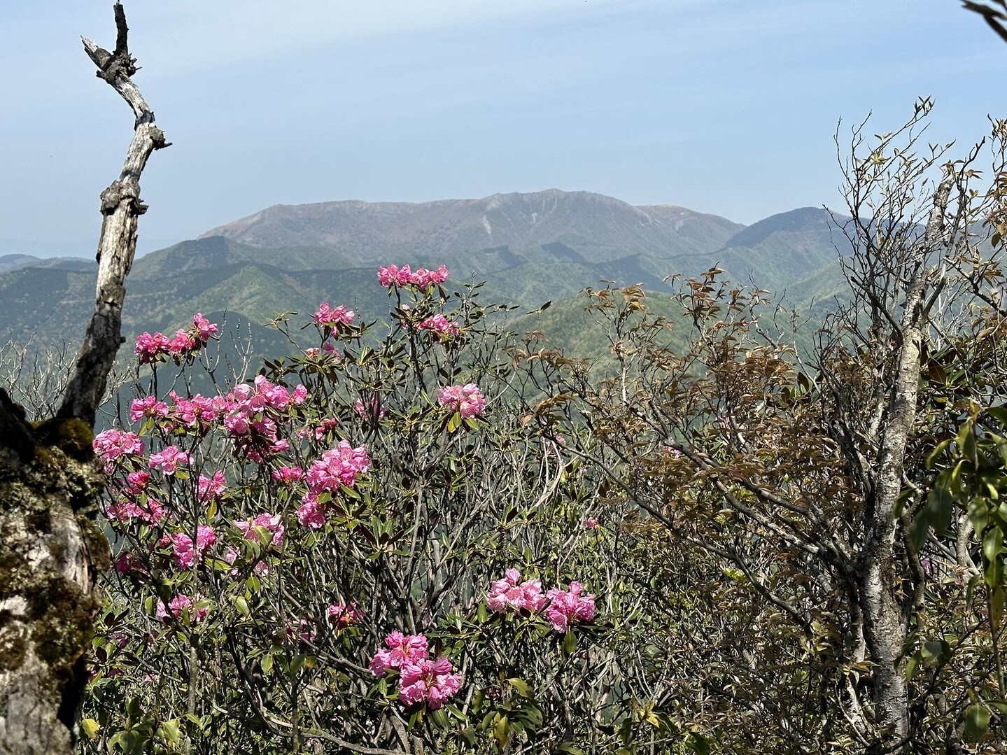 烏帽子岳・狗留尊山 / どんマイケルさんの三国岳・烏帽子岳・ダイラの頭の活動データ YAMAP / ヤマップ
