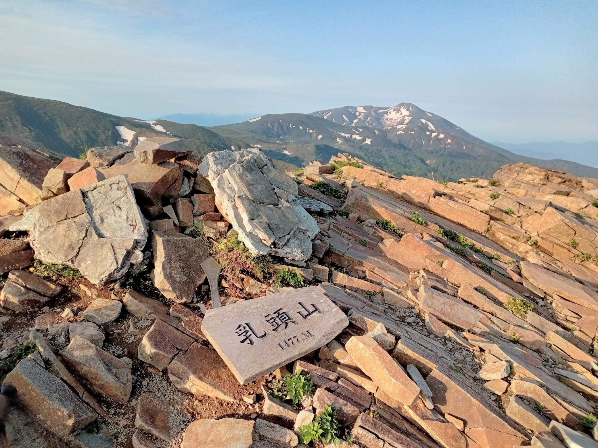 山と自然 YAMANO Yellow FM01002 – Flower MOUNTAIN