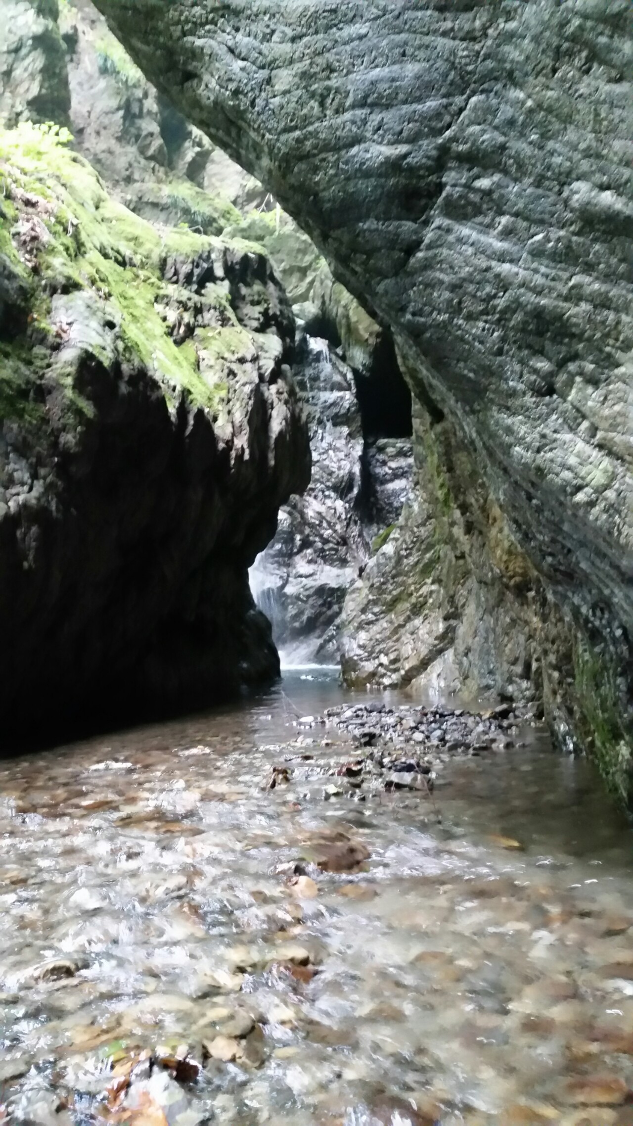 沢登ソロ 奥多摩 倉沢谷塩地谷 シュンさんの川苔山 川乗山 の活動データ Yamap ヤマップ