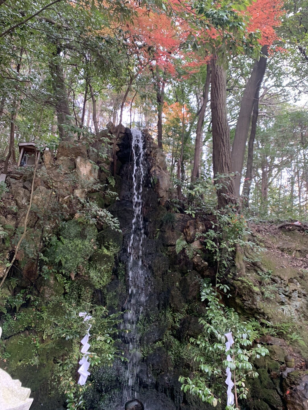 各務原権現山・北山・芥見権現山 / しおさんの各務原アルプス（関南アルプス）・八木三山の活動データ YAMAP / ヤマップ