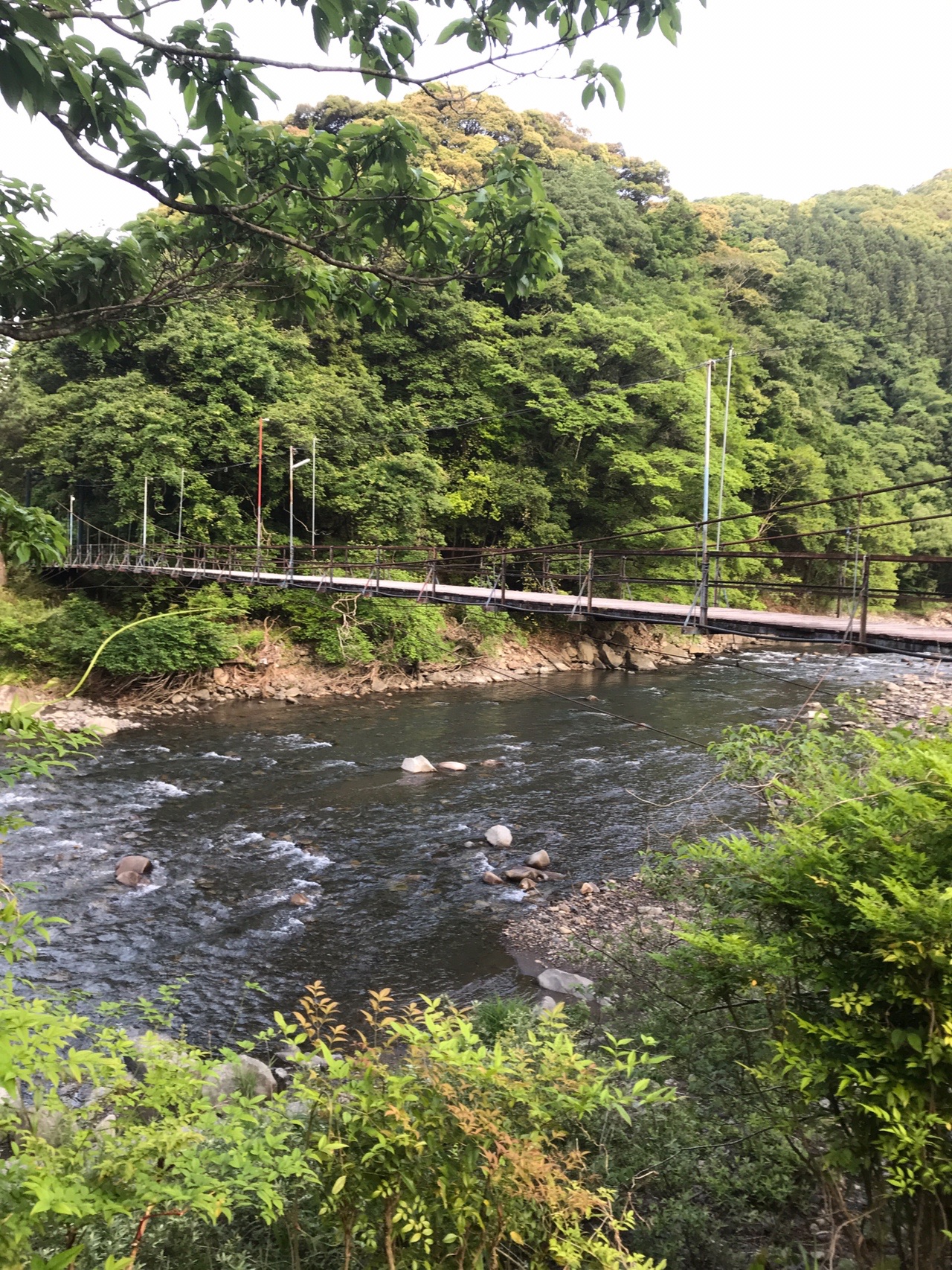 藁科川を清沢まで パタヤンさんの賤機山の活動日記 Yamap ヤマップ