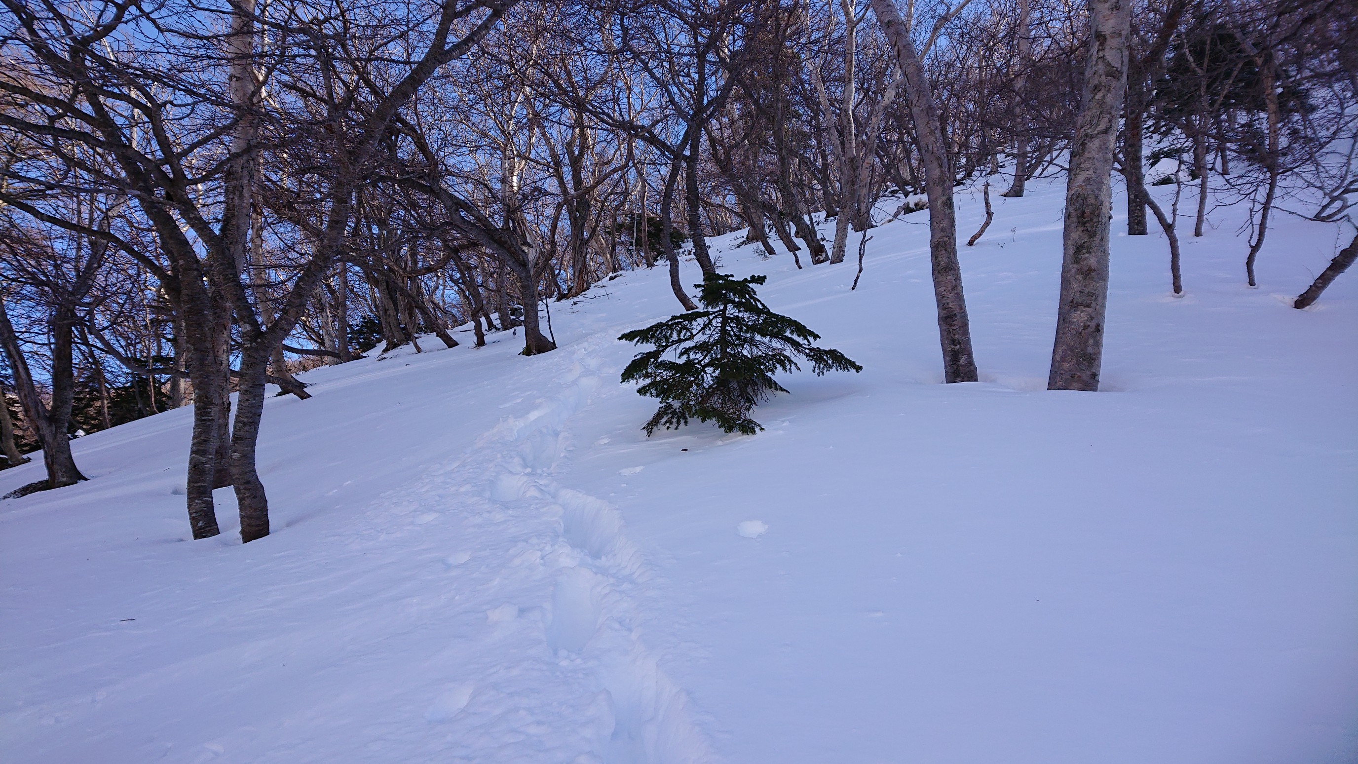日光白根山・五色山・錫ヶ岳 急げ  なかなか進まない