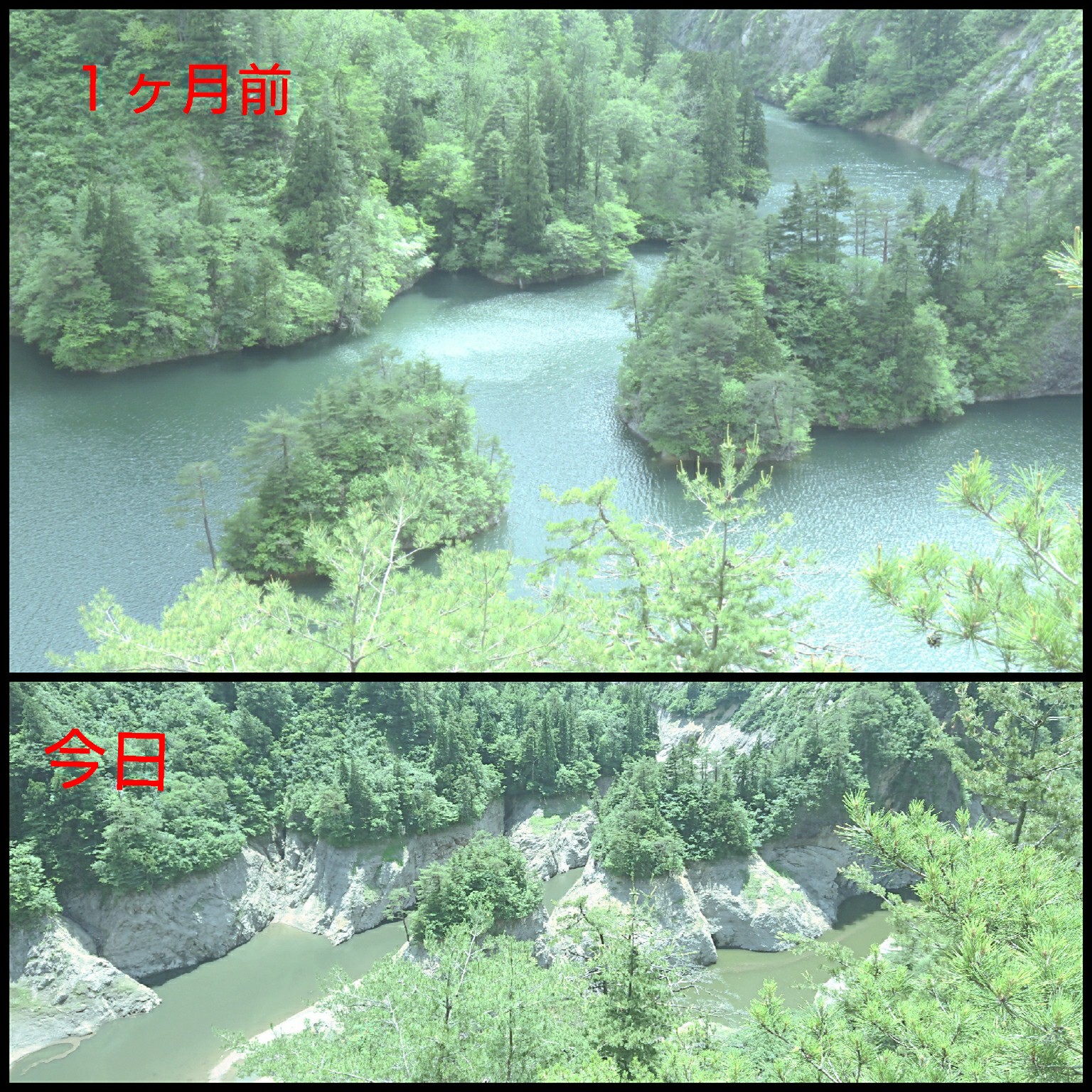 日本平山・鍋倉山 １ヶ月前と全然