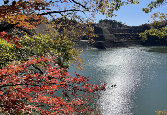 草戸山の最新登山情報 / 人気の登山ルート、写真、天気など