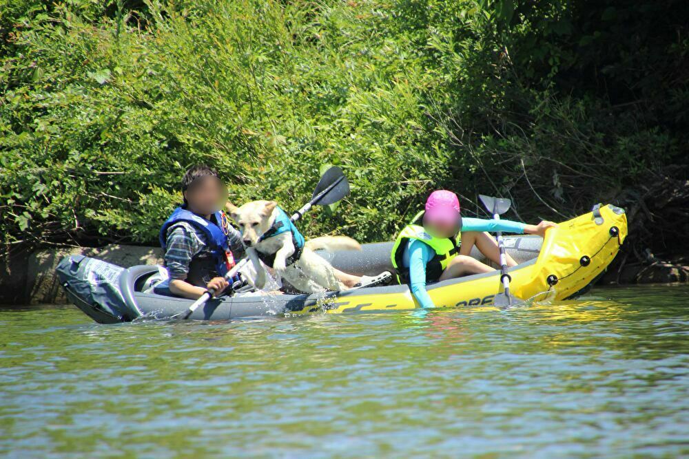 Kawap 早出川で犬カヤック おちもりさんの菅名岳 大蔵山 鳴沢峰の活動データ Yamap ヤマップ