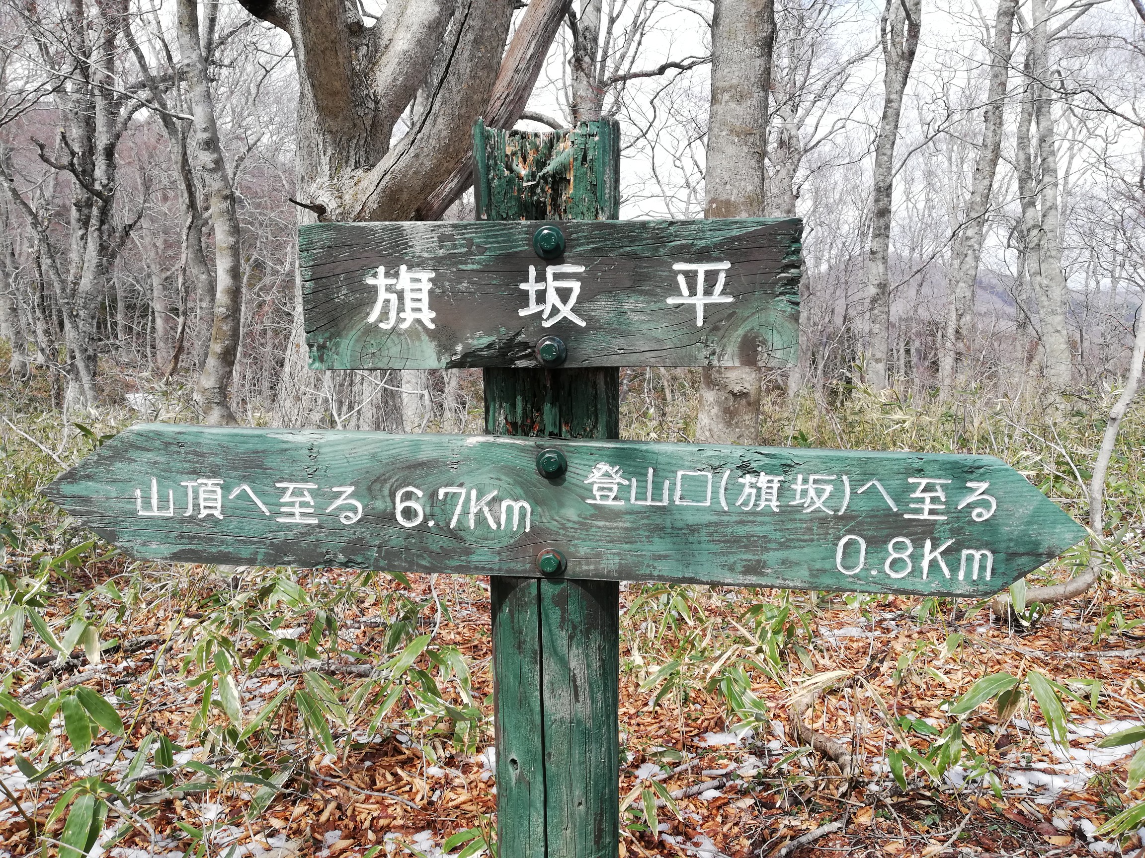 圧雪が名残惜しかったです