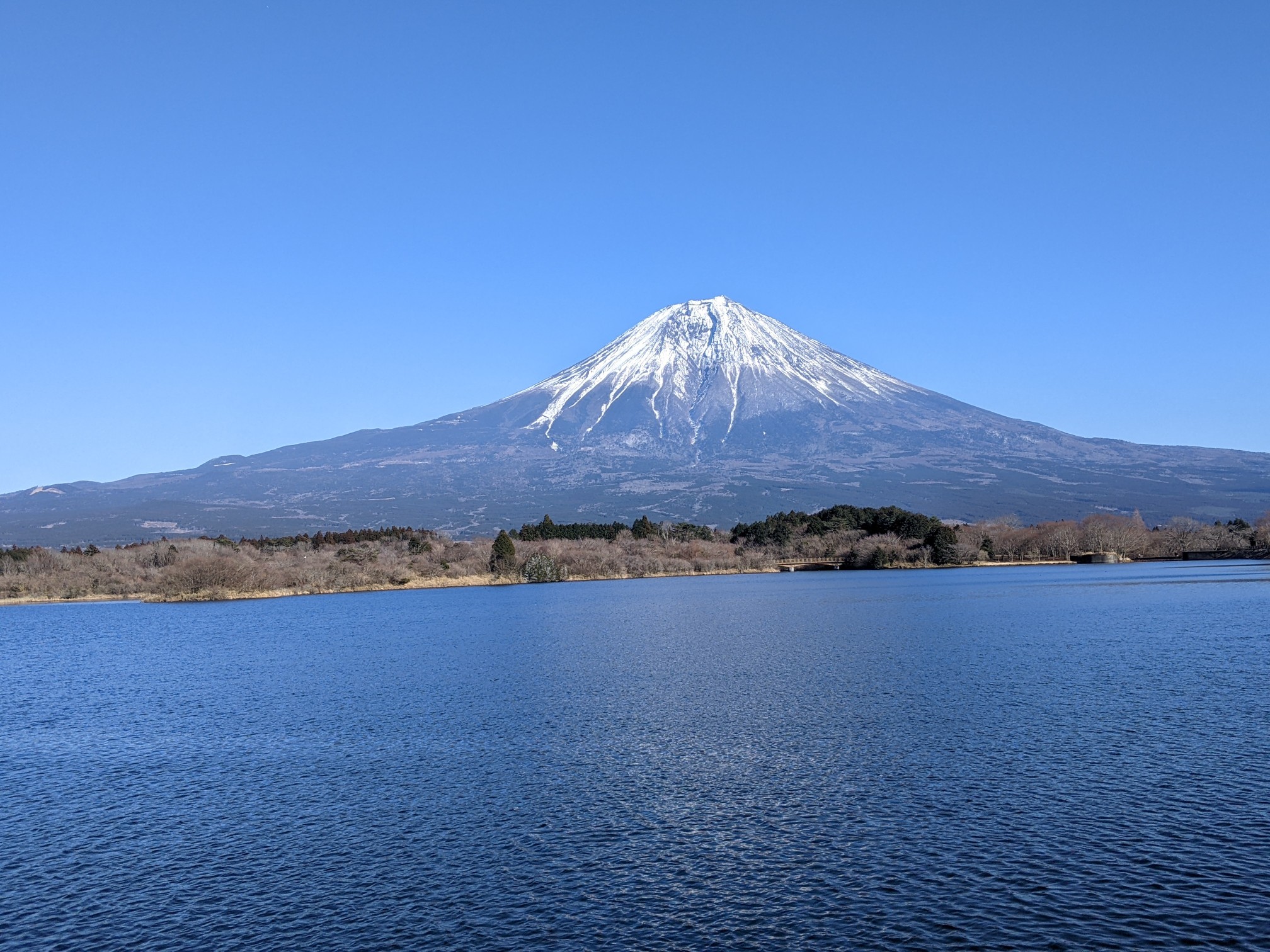 見事な西側からの富士山の絶景 長者ヶ岳 天子ヶ岳 Longaboutnowさんの長者ヶ岳 天子ヶ岳の活動データ Yamap ヤマップ