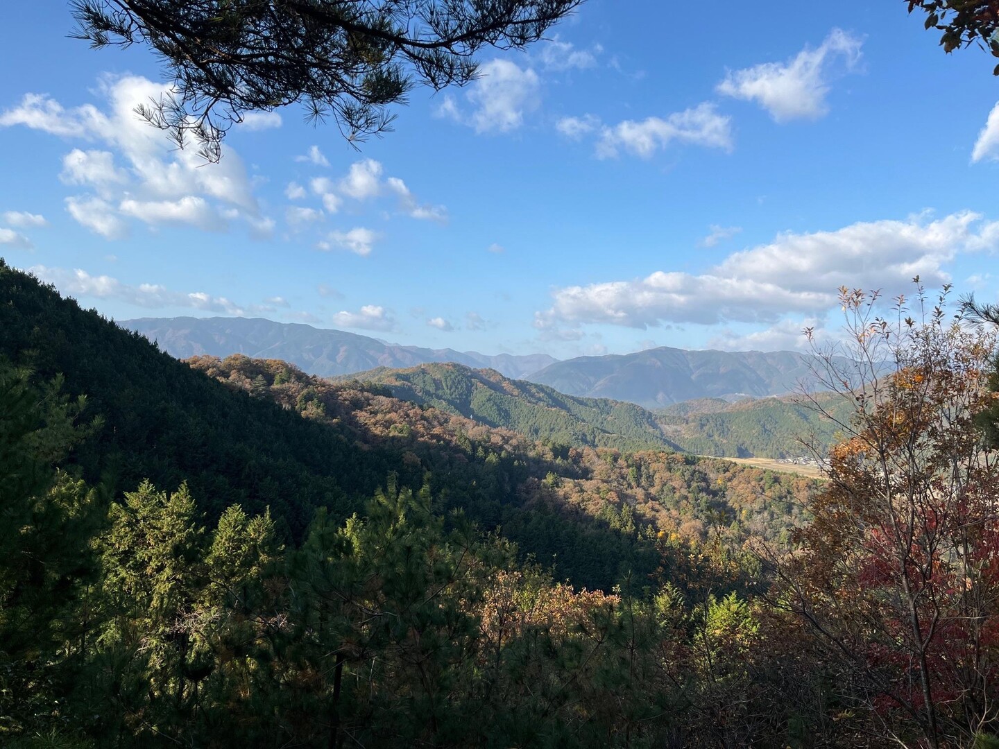 野村山・大谷山🦶散歩 / ぶっち〰️さんの大谷山・滝谷山・城ヶ峰の活動データ YAMAP / ヤマップ