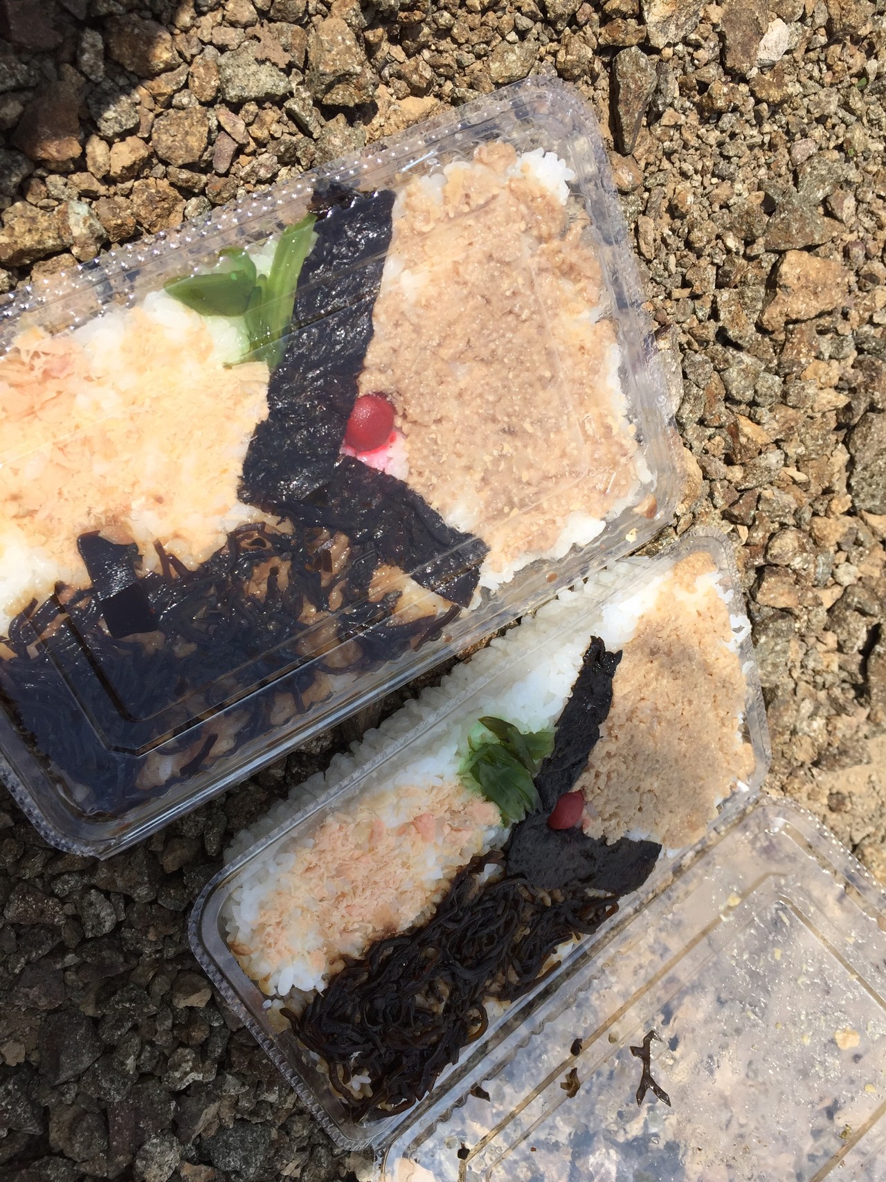 礼文島 愛とロマンの8時間コース あずぴさんの礼文島の活動日記 Yamap ヤマップ