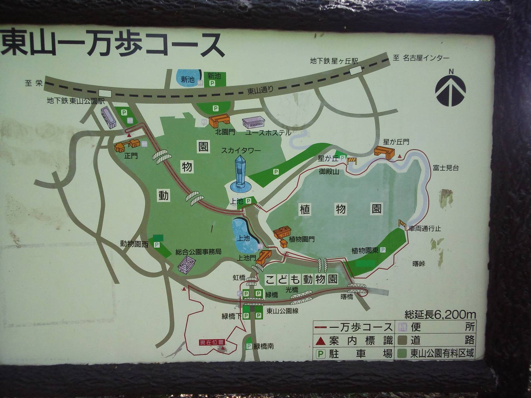 東山一万歩コース の前に寄り道含む Akoboo さんの名古屋市の活動データ Yamap ヤマップ