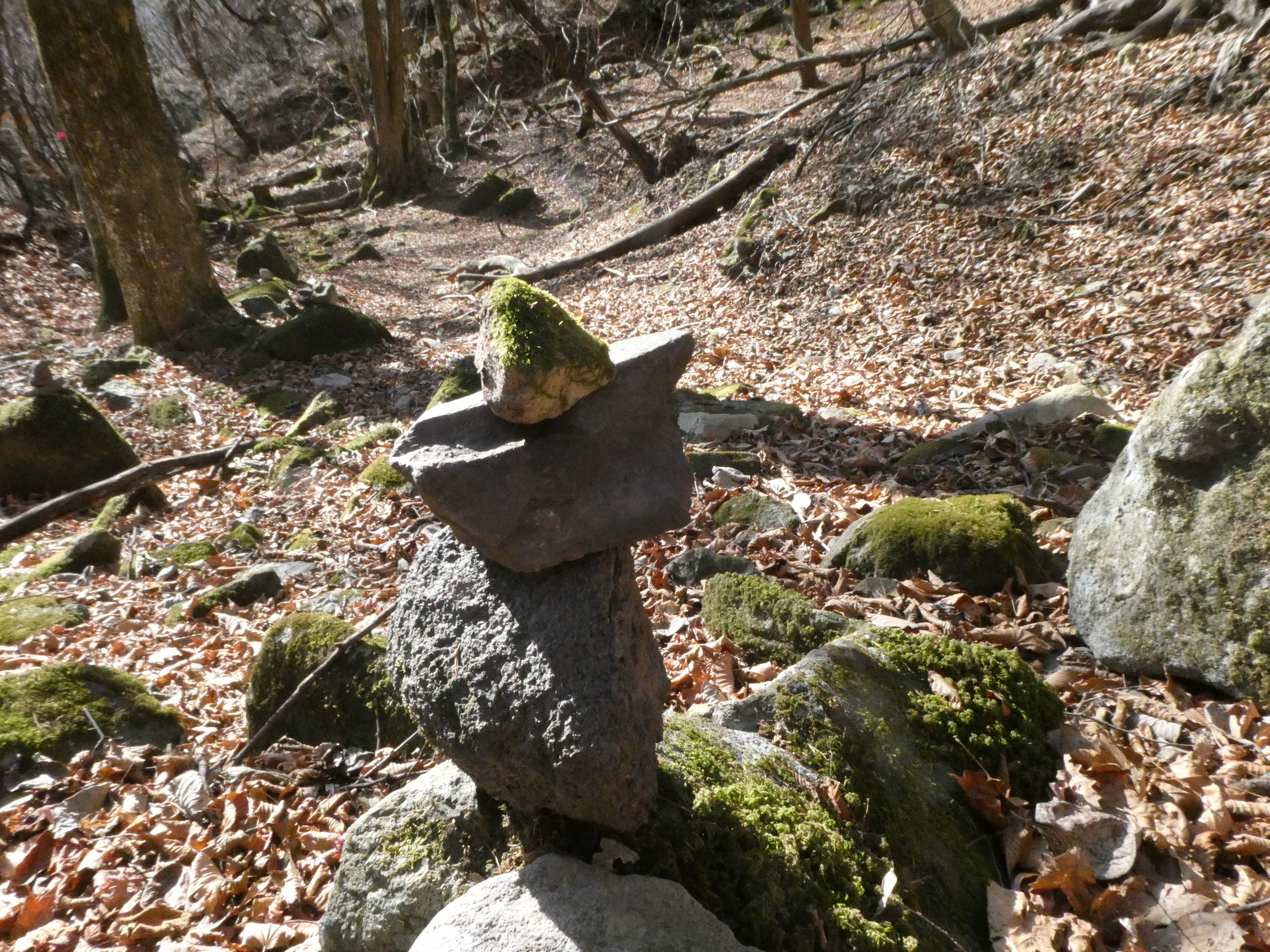 想定外の筋肉痛登山 立岩 荒船山の周回 一部ピストン アボボさんの荒船山 物語山 大屋山の活動データ Yamap ヤマップ