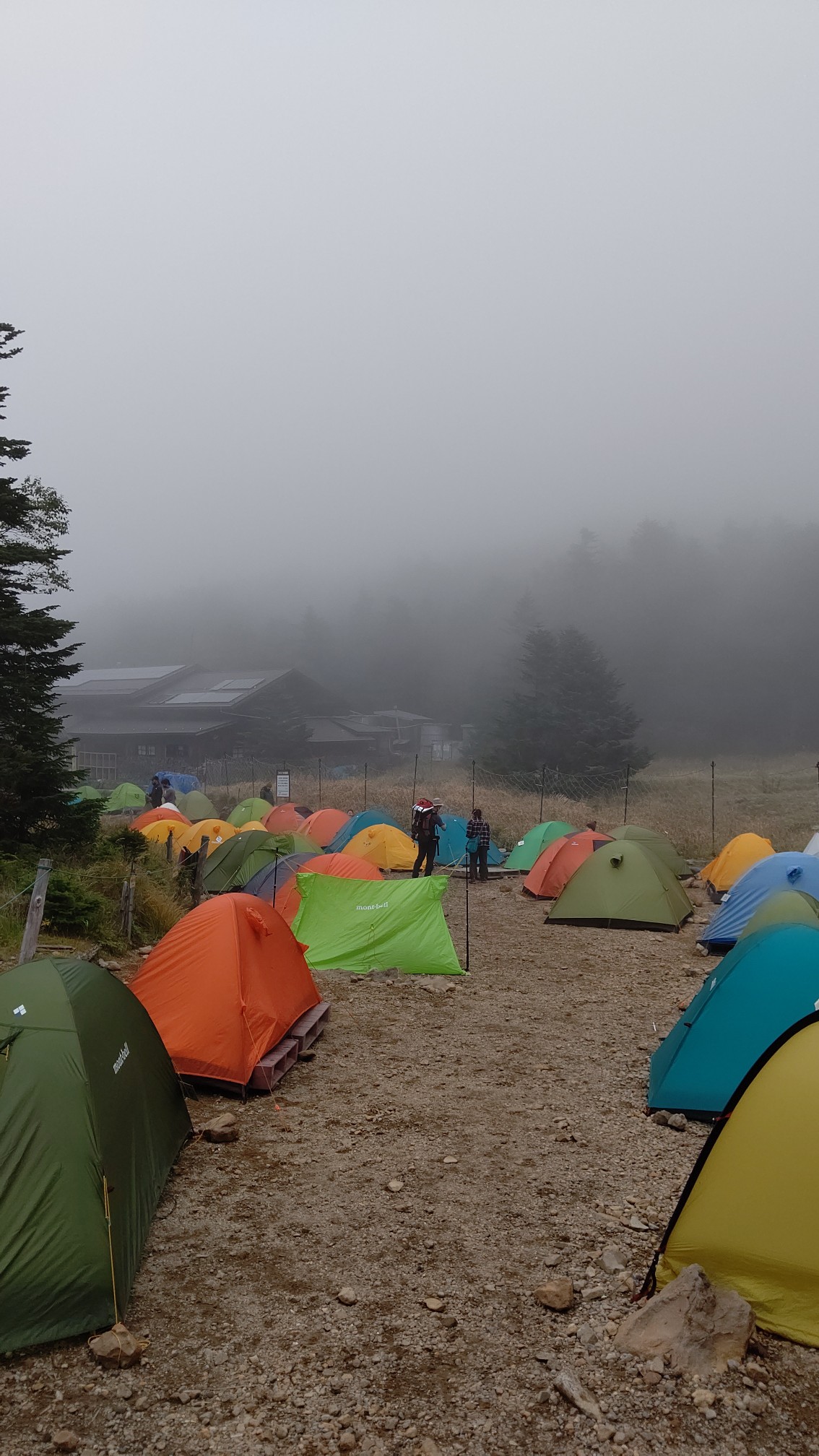 黒百合ヒュッテでテント泊 ニュウ 東天狗岳 西天狗岳 中山 丸山 茅野市 佐久穂町 ちいさんの八ヶ岳 赤岳 硫黄岳 天狗岳 の活動データ Yamap ヤマップ
