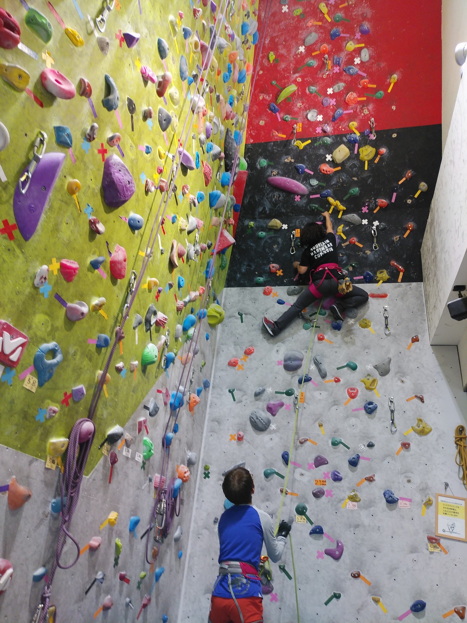 クライミングジム ビレイ検定 19 10 05 Pochi Ewgさんの岡山市 北区の活動日記 Yamap ヤマップ