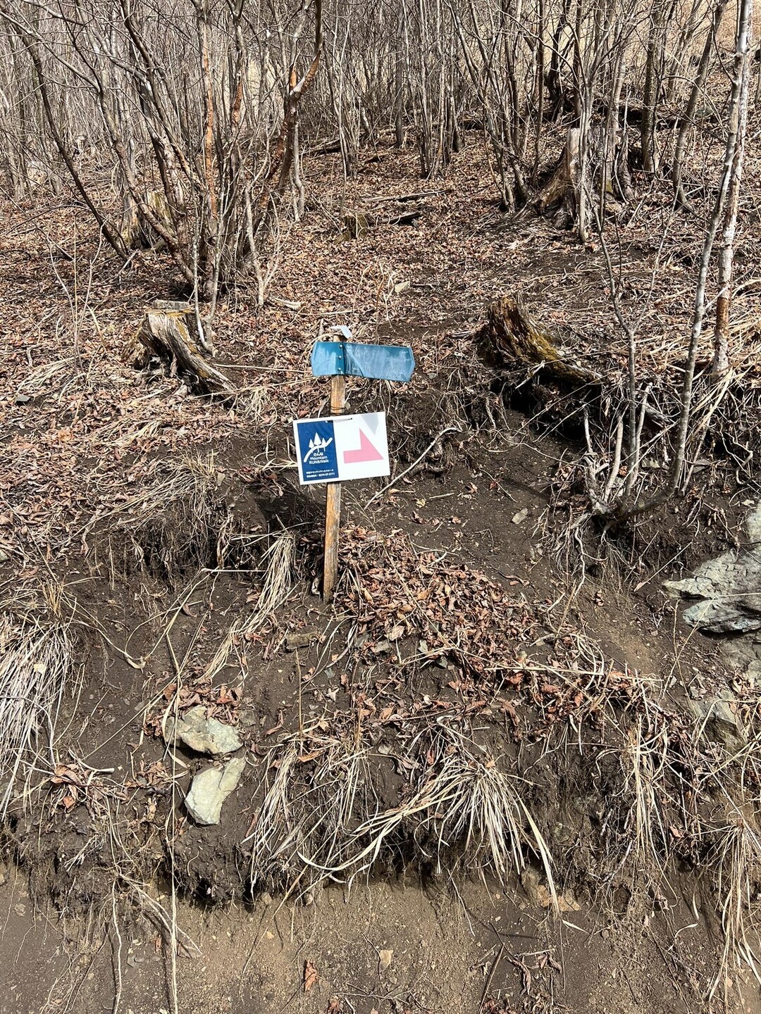 御荷鉾山（西御荷鉾山）・釜伏山・東御荷鉾山 / たけちさんの御荷鉾山・オドケ山・桐ノ城山の活動データ YAMAP / ヤマップ